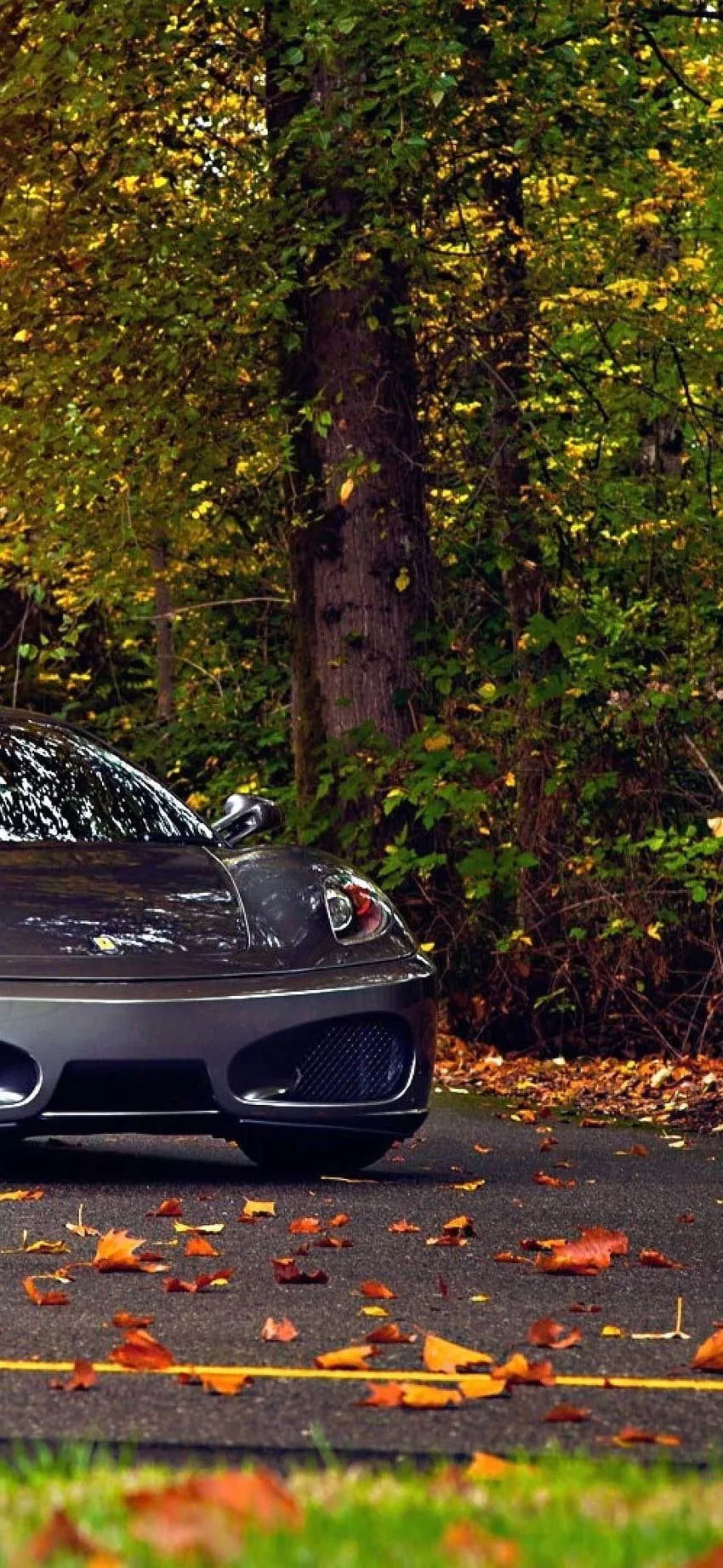 Cars iPhone, autumn car HD phone