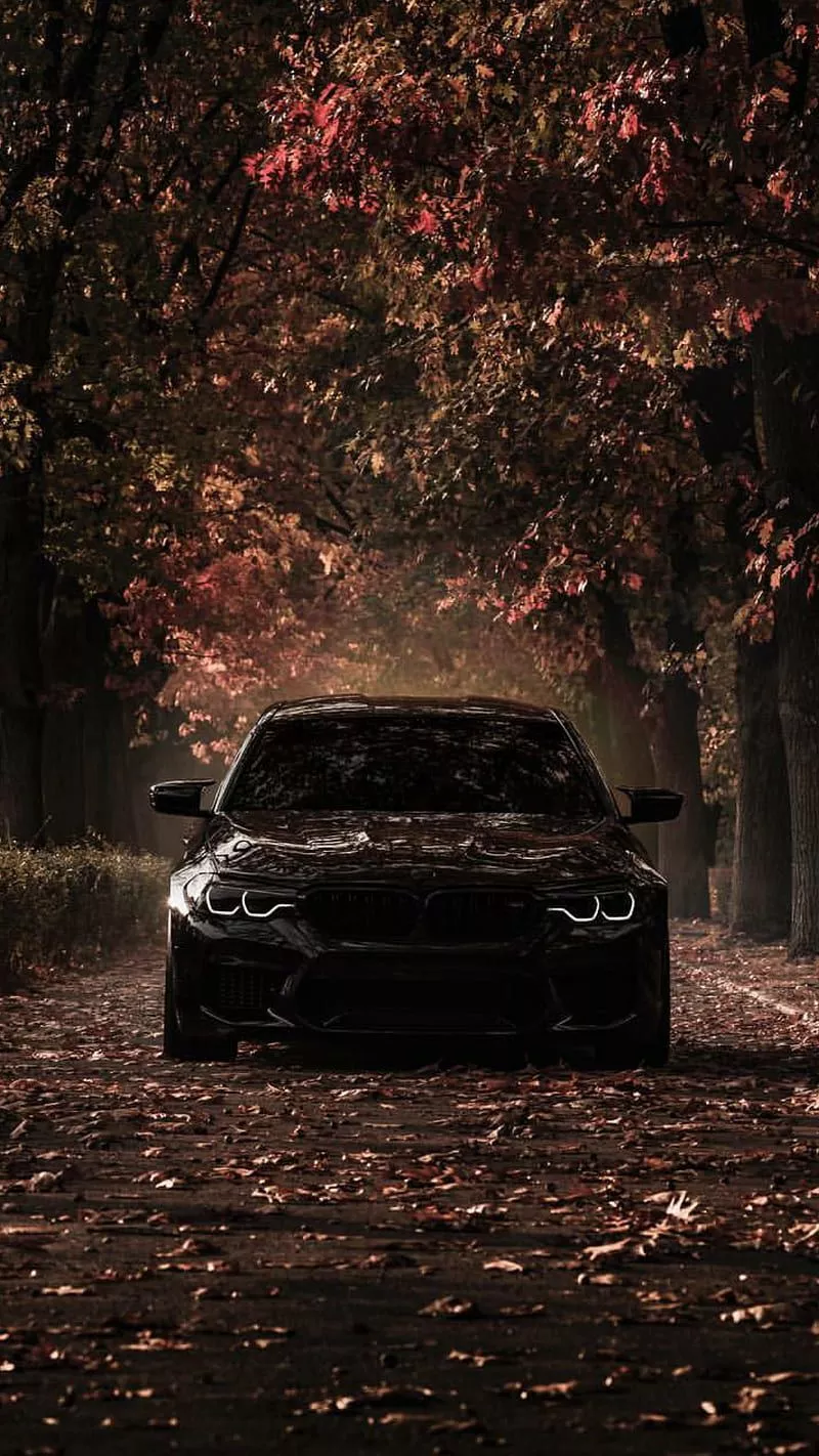 HD autumn car wallpaper