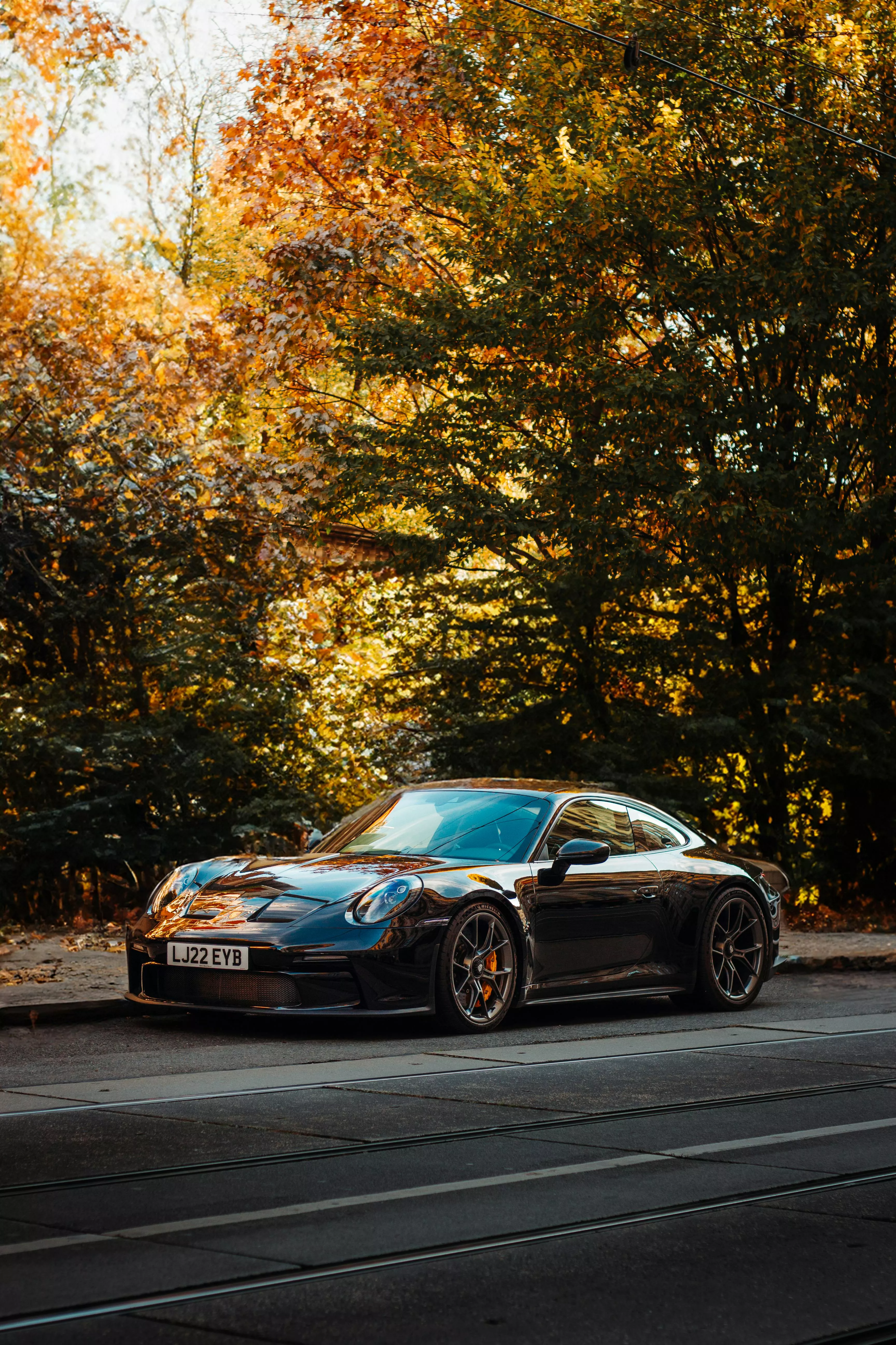 Sports Car on Road in Forest · Free