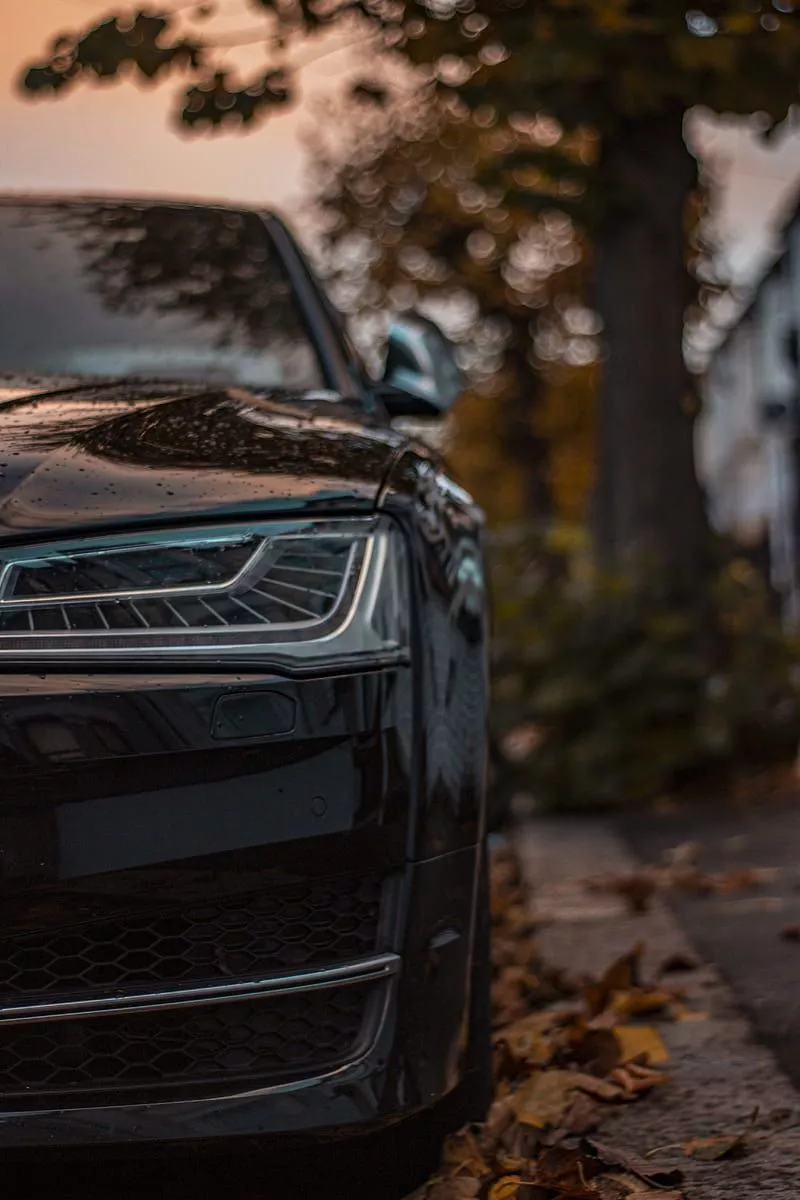 Audi s8, autumn, car, carros, love, HD