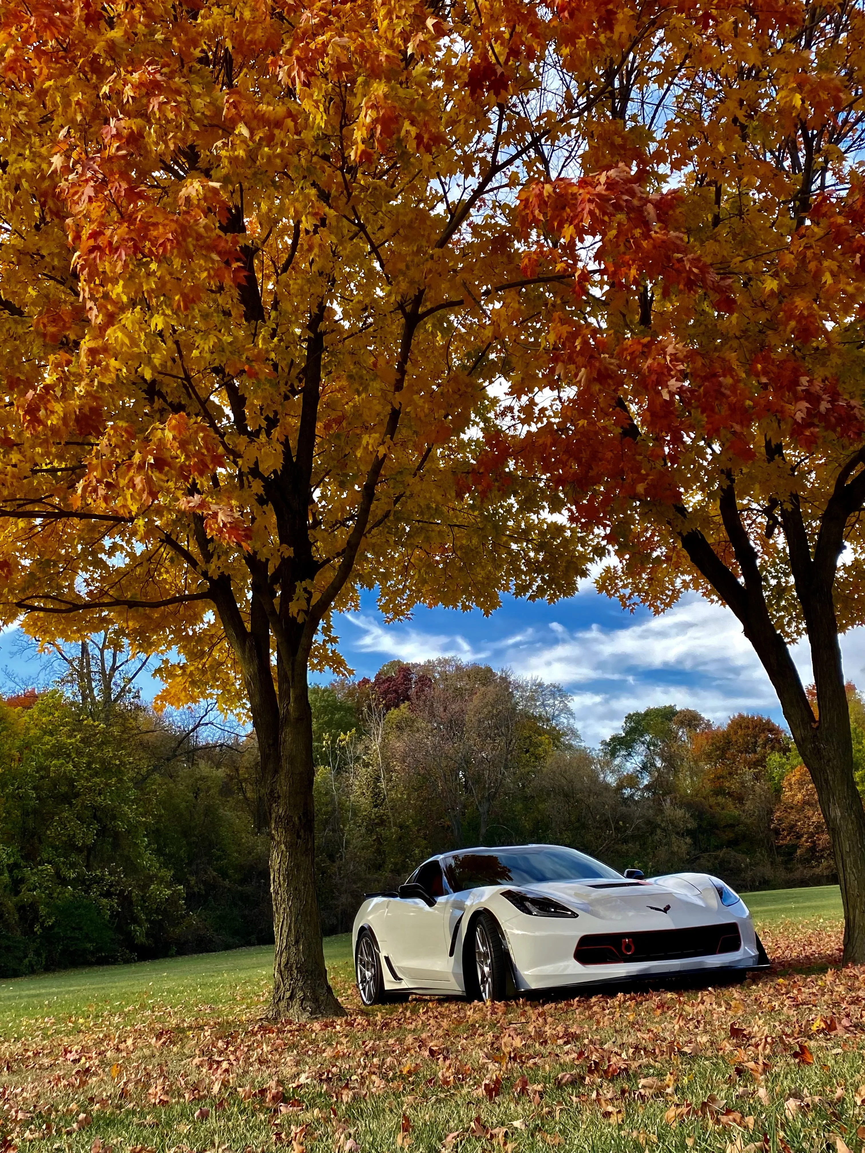 Corvettes. Stingray Corvette Forum