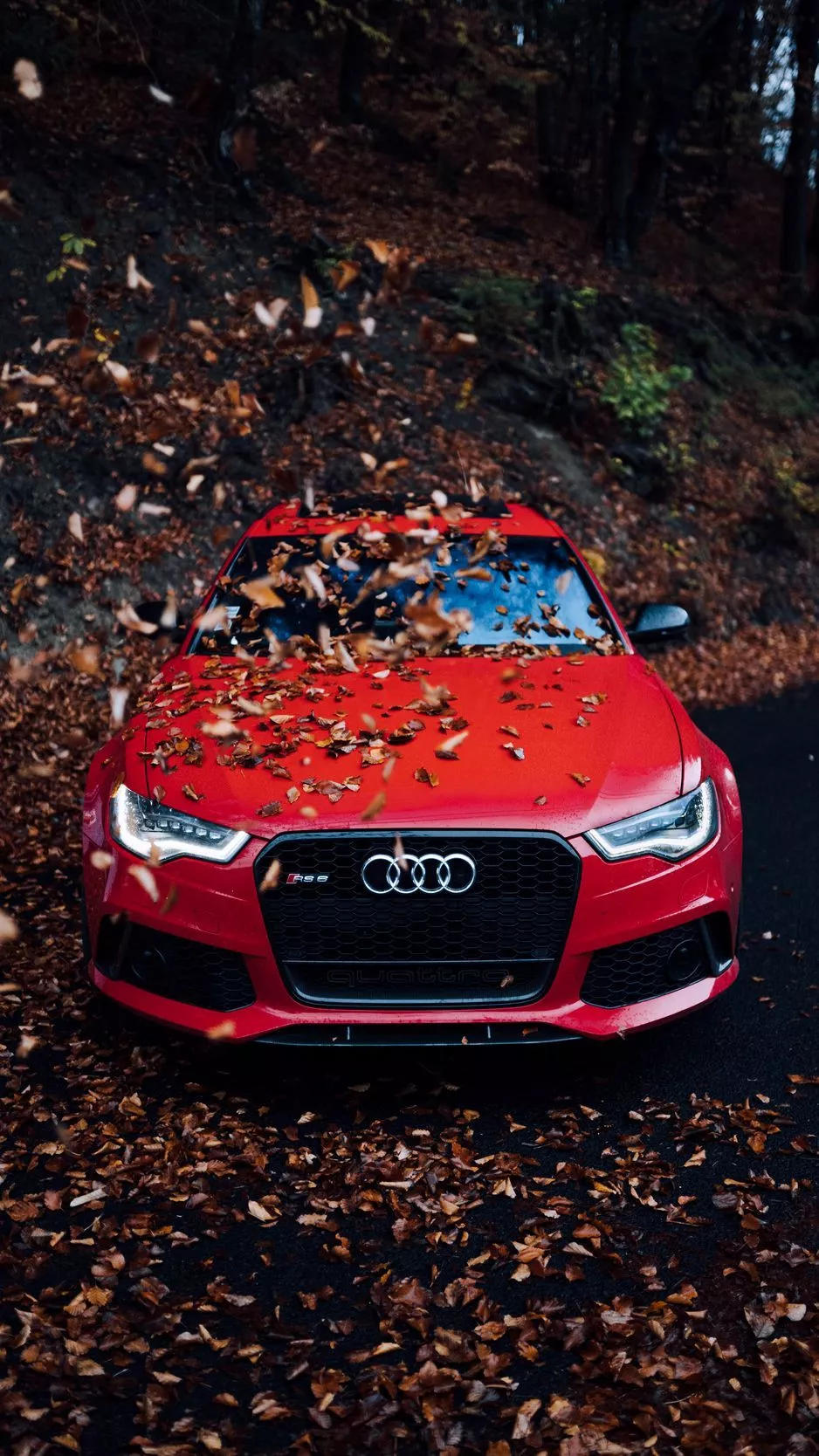 wallpaper 938x1668 audi, car, front