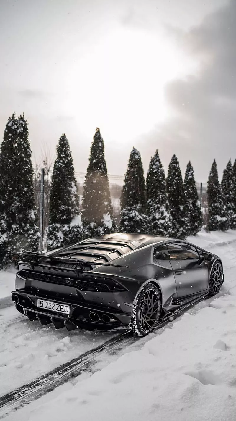 HD lambos in the snow wallpaper