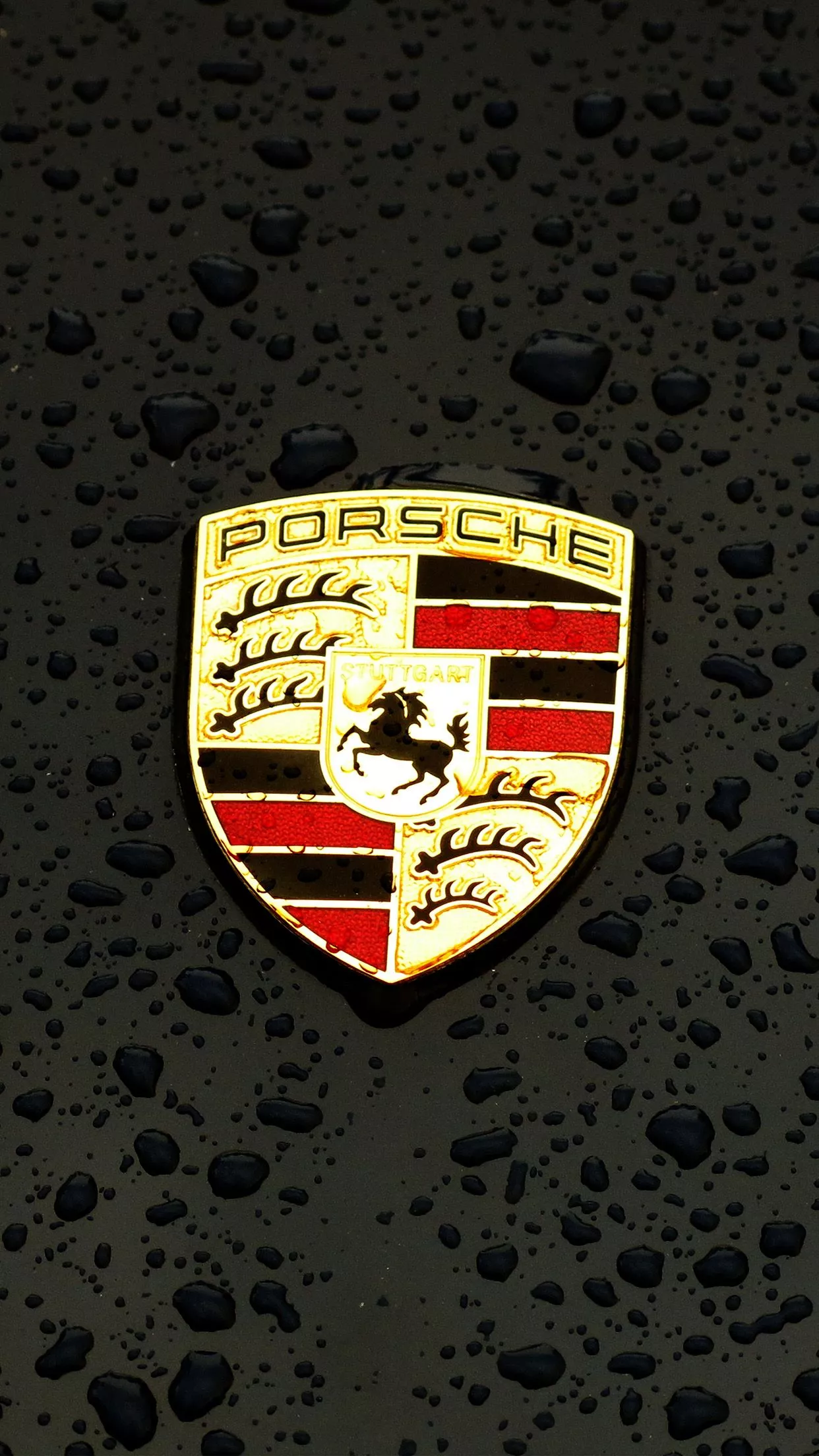 Porsche Logo Emblem Car