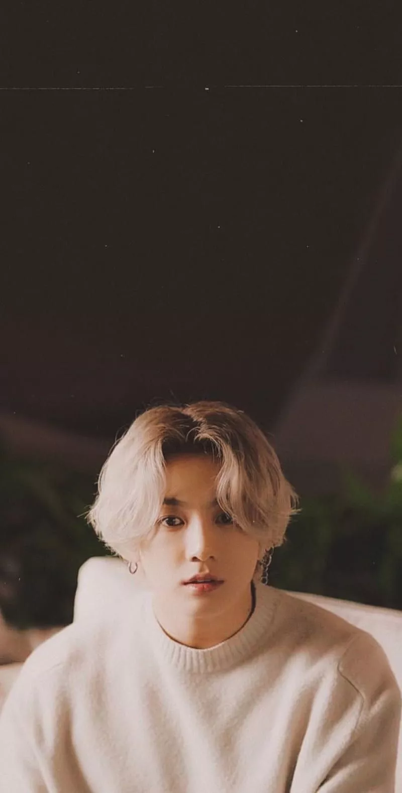 K Pop, Bunny, HD Phone Wallpaper