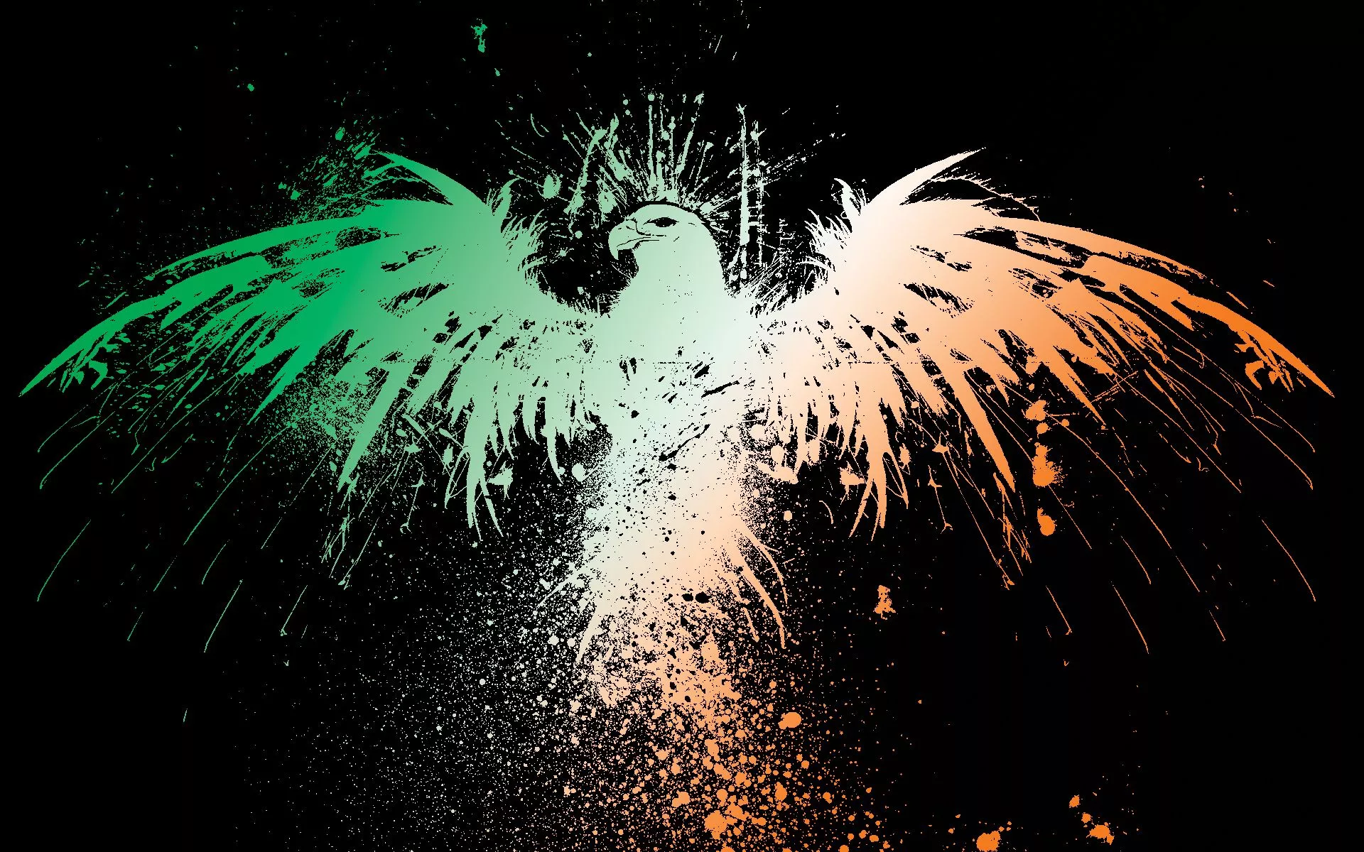 Eagle Splendor HD Wallpaper