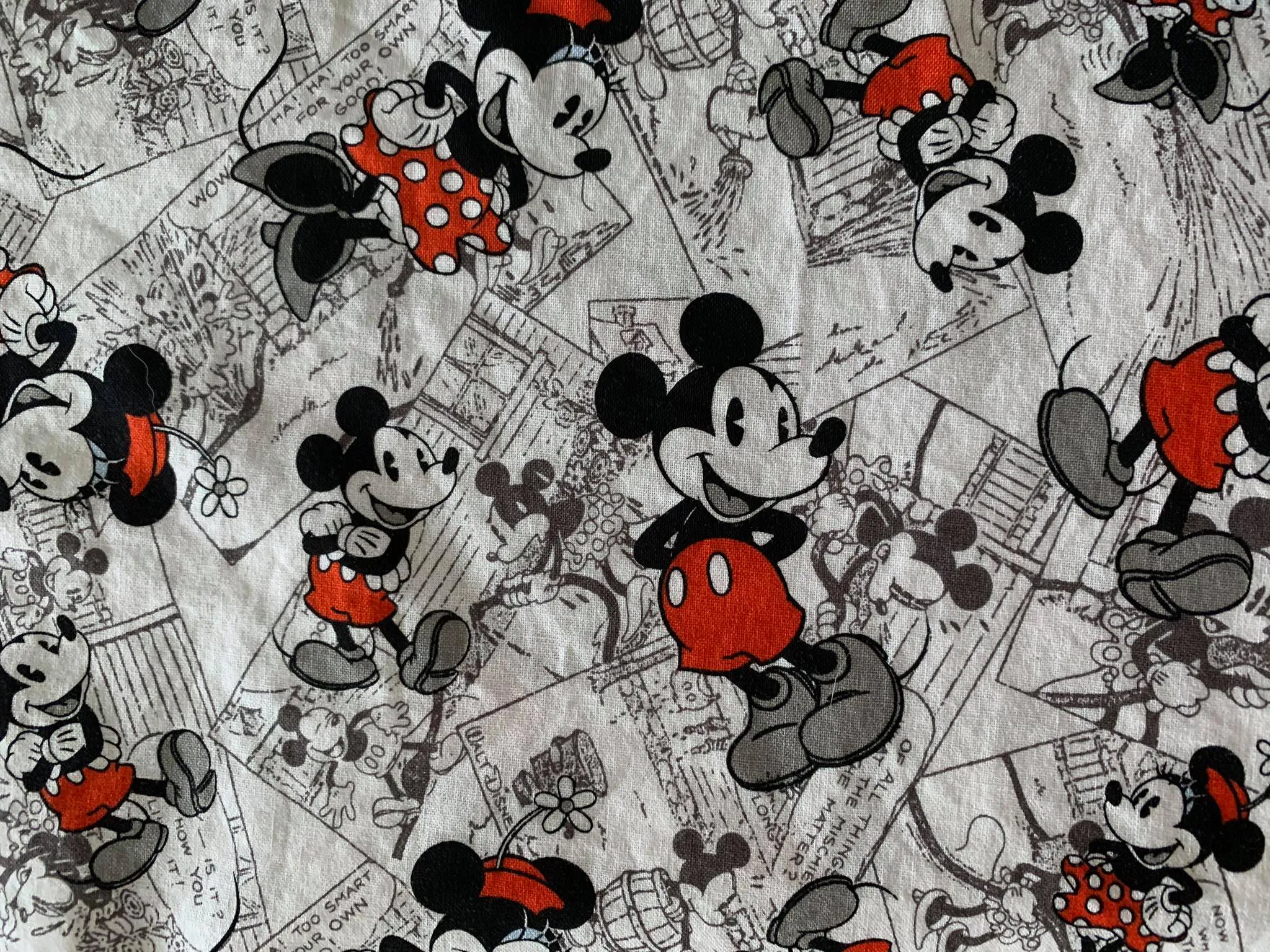 Mickey and Minnie Mouse Face Mask