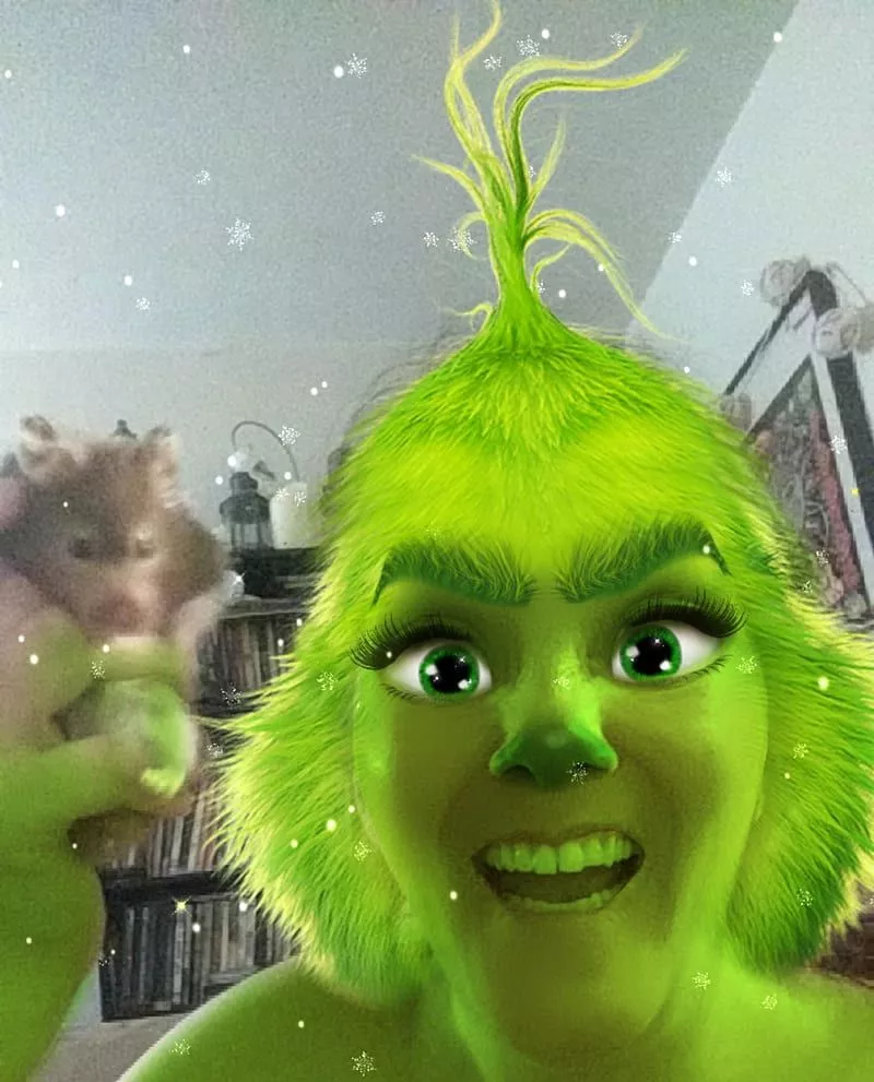 the grinch, HD phone wallpaper