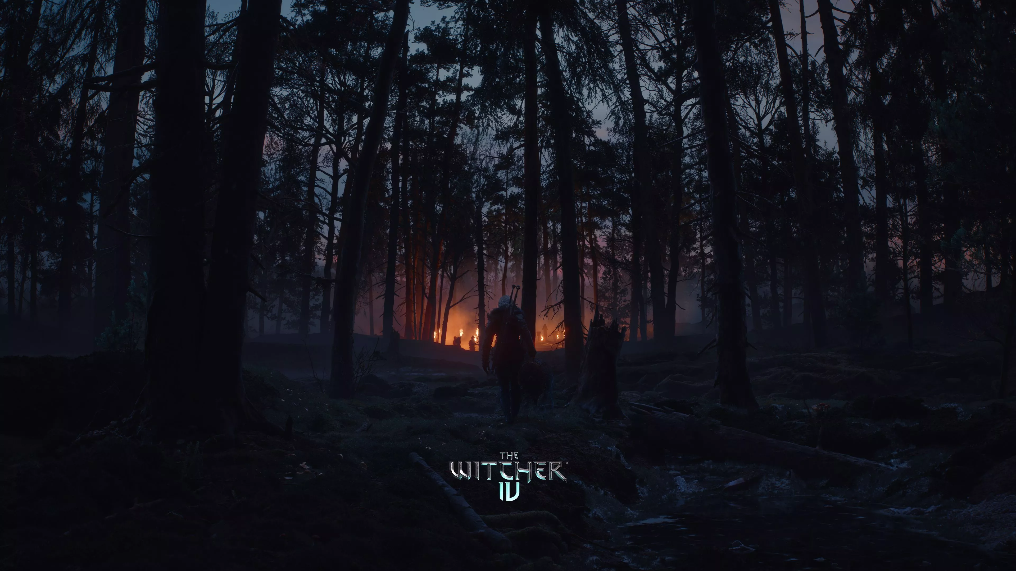 The Witcher IV wallpaper