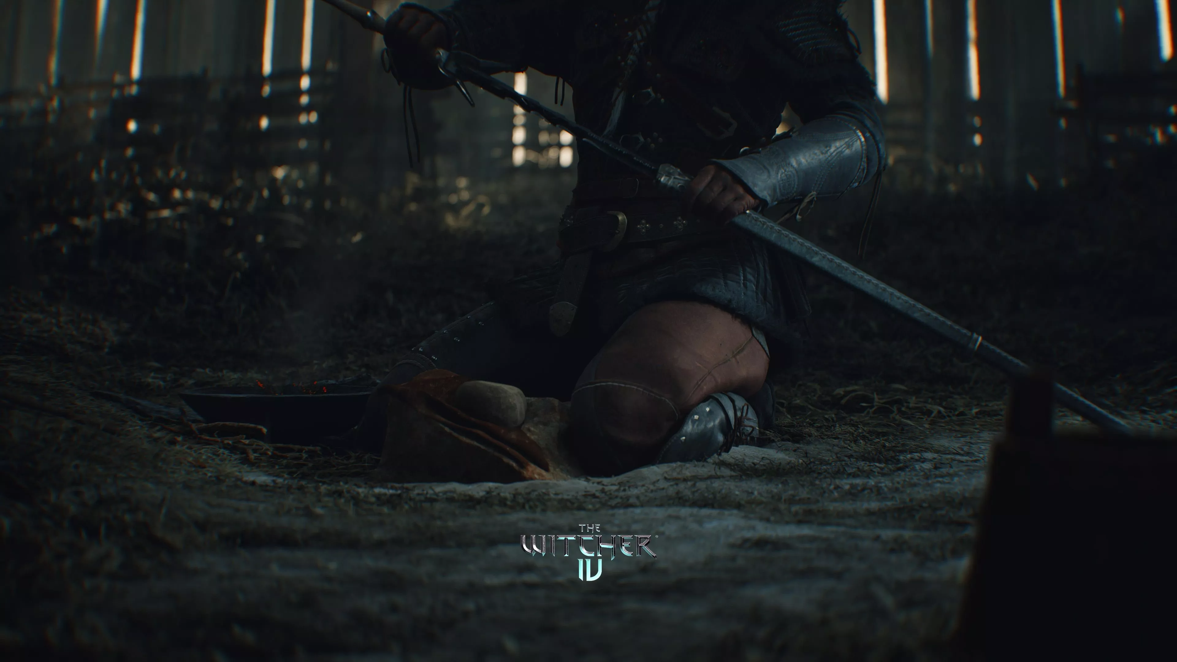 The Witcher IV wallpaper