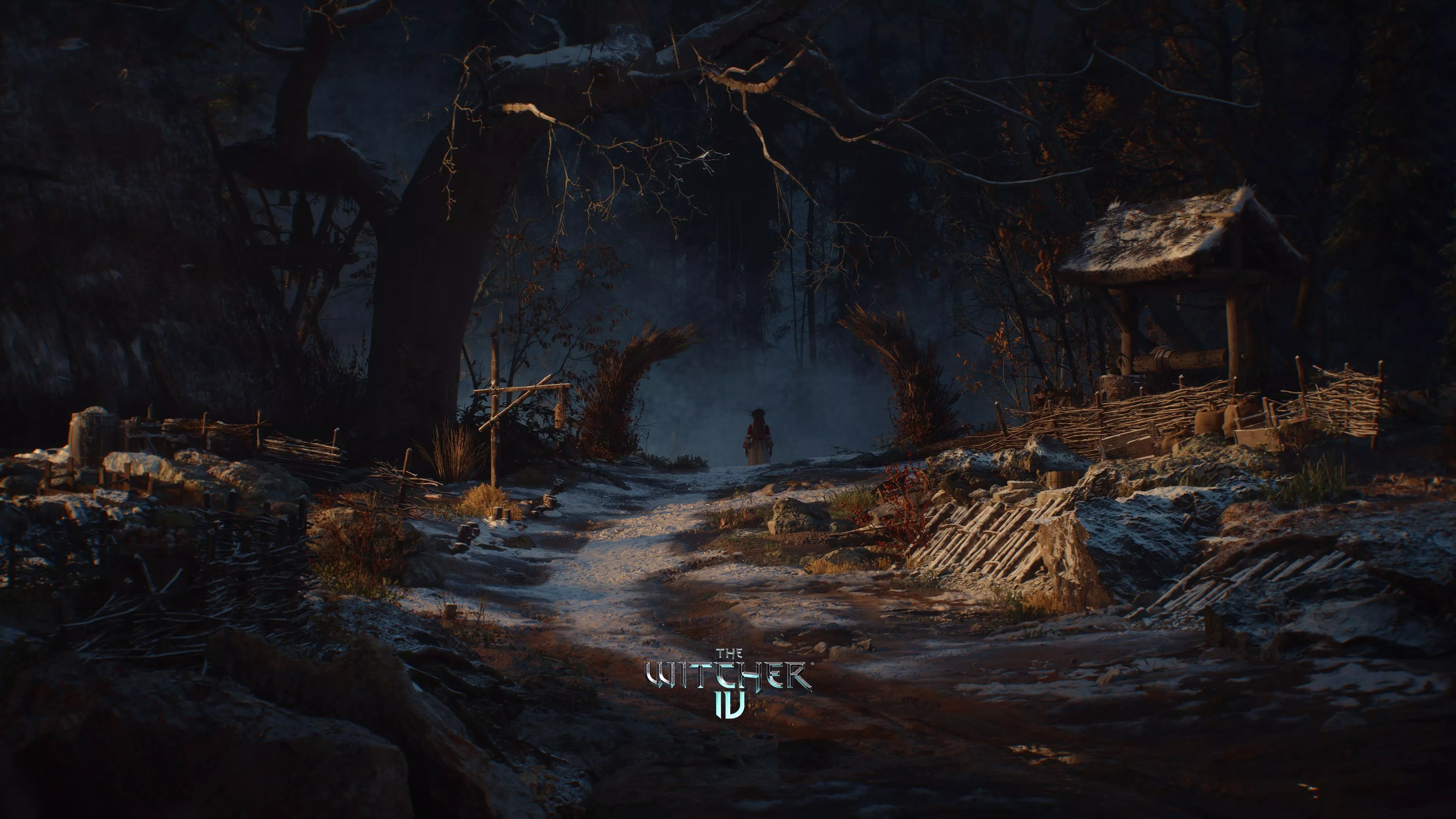 The Witcher IV wallpaper