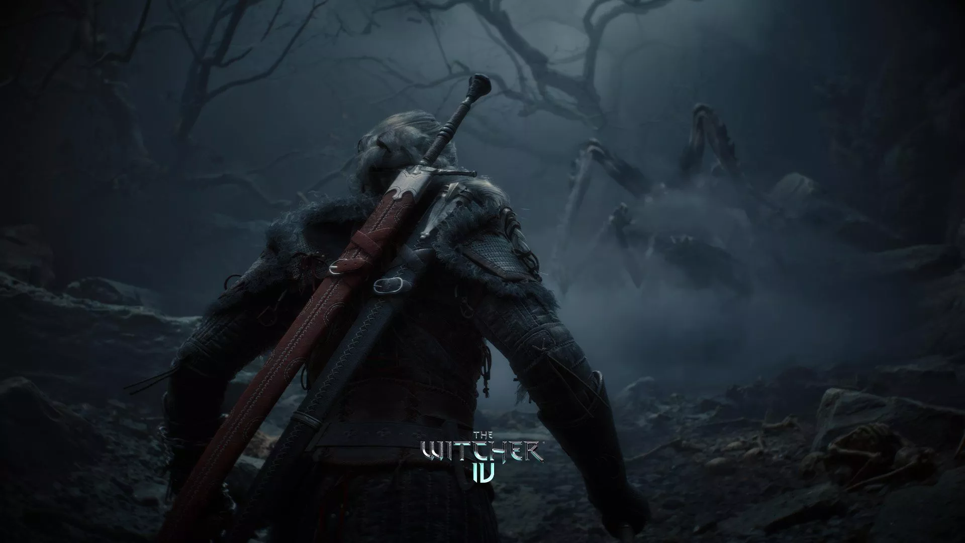CD Projekt Red can't confirm