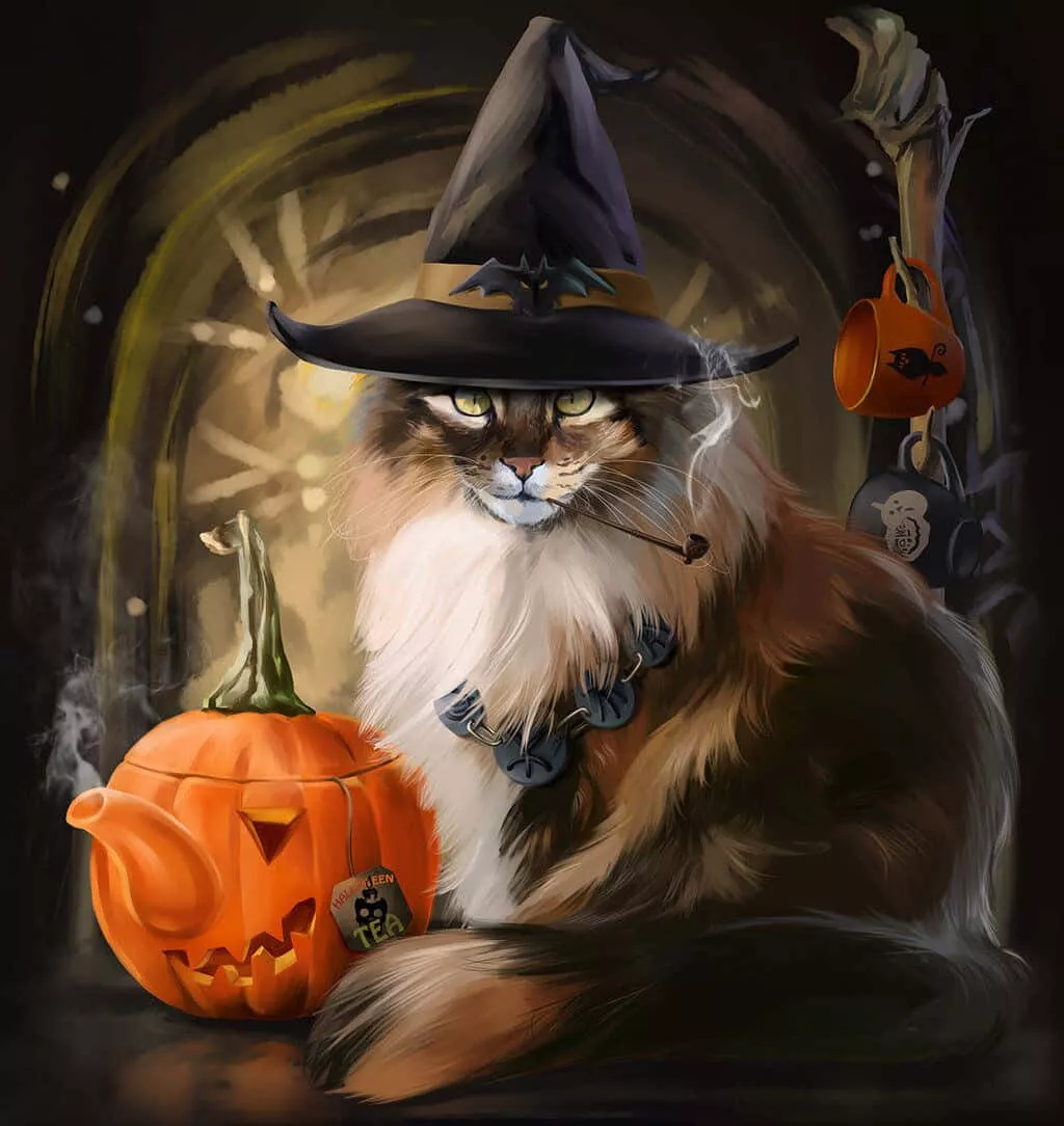 Halloween Cat Picture