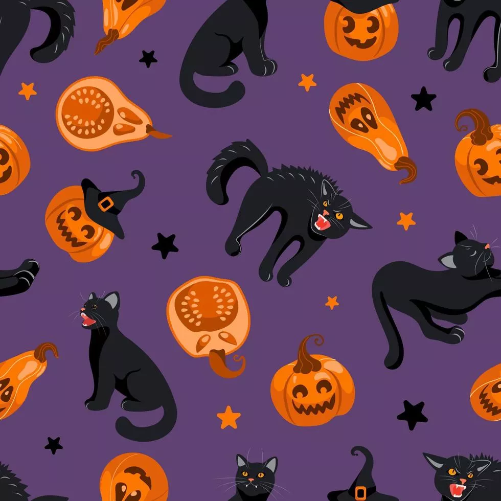 Halloween seamless pattern Black cat