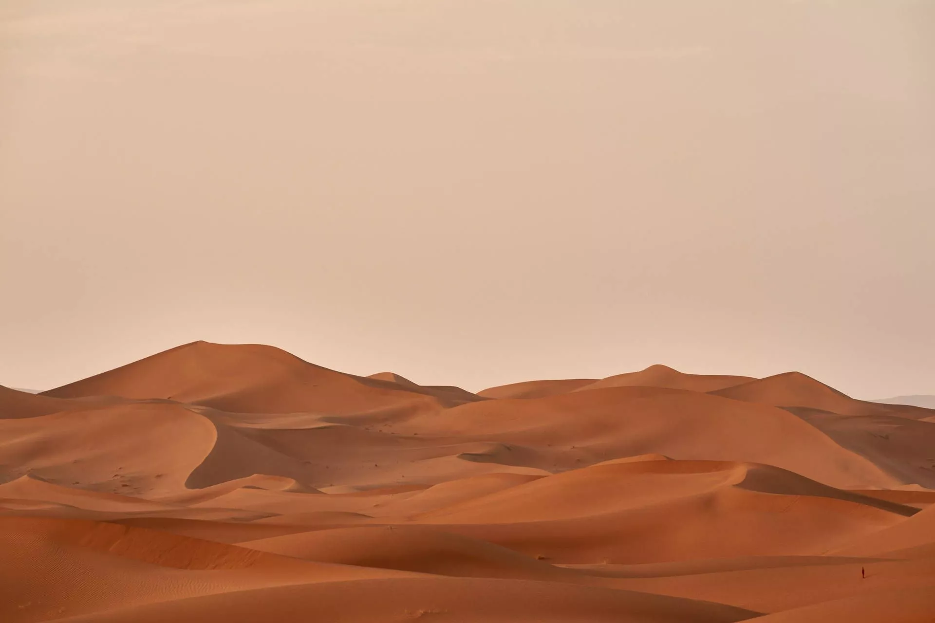 Download Desert Beige Aesthetic Desktop