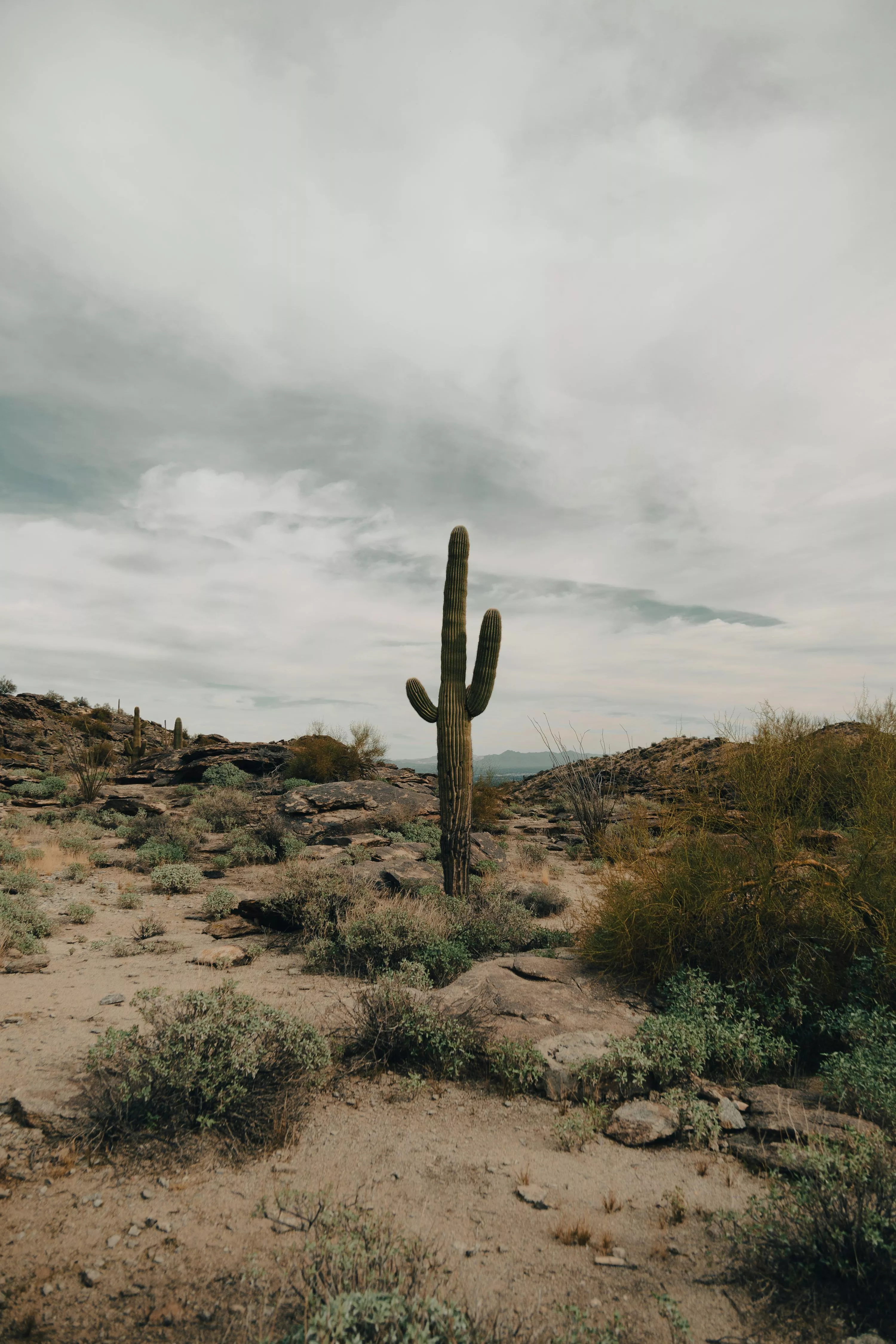 Desert Background Picture. Download
