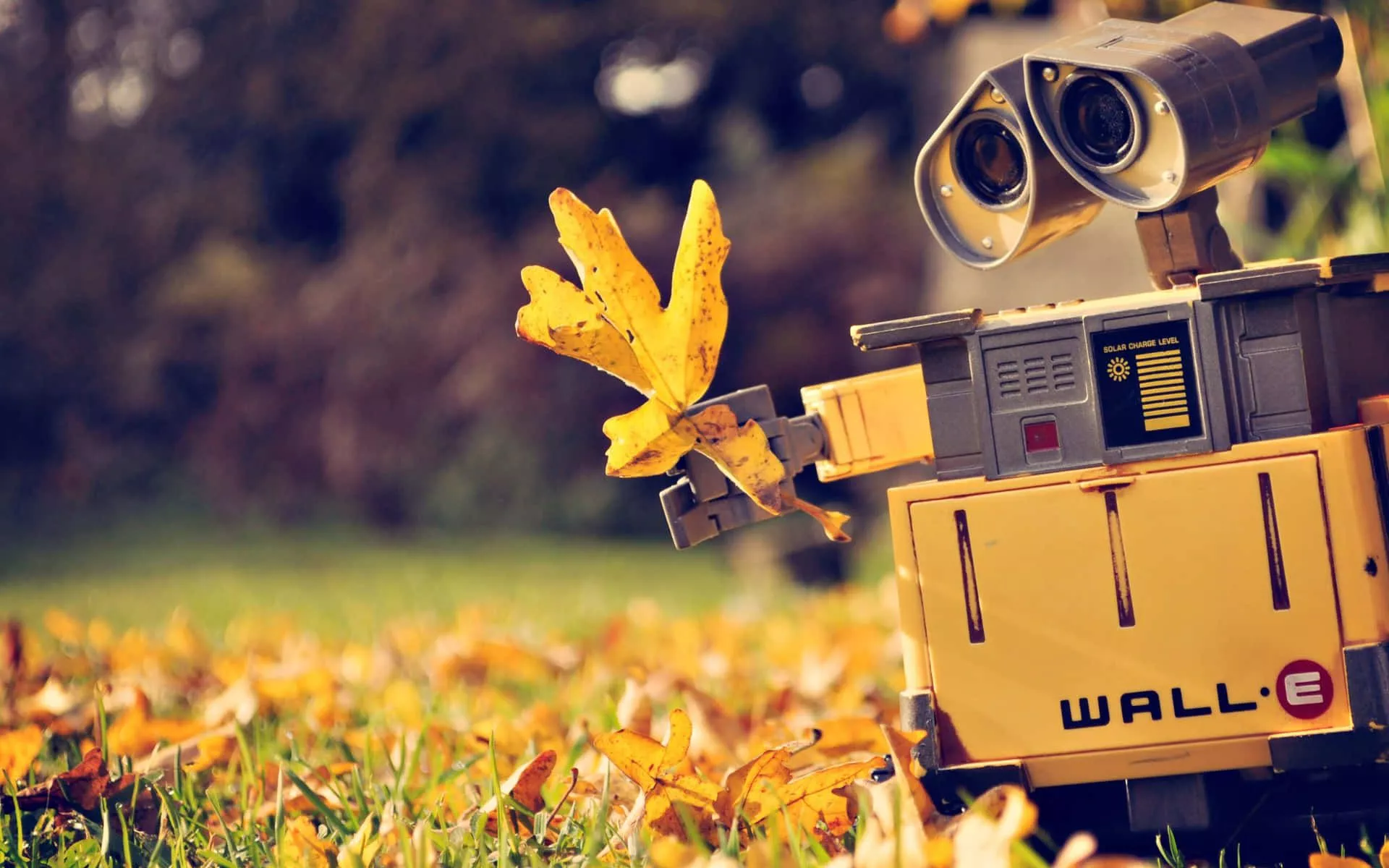 Download Disney Autumn Wall E Wallpaper
