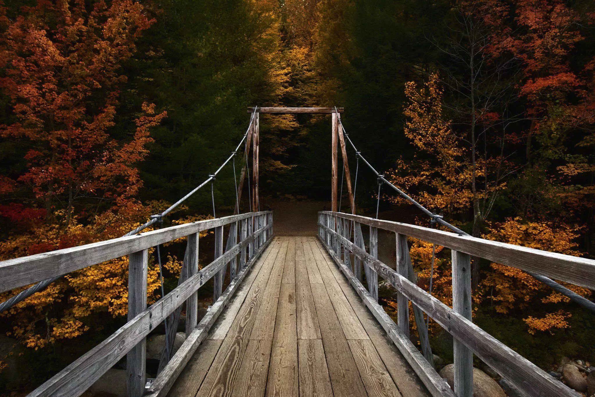 Wallpaper autumn, forest, bridge