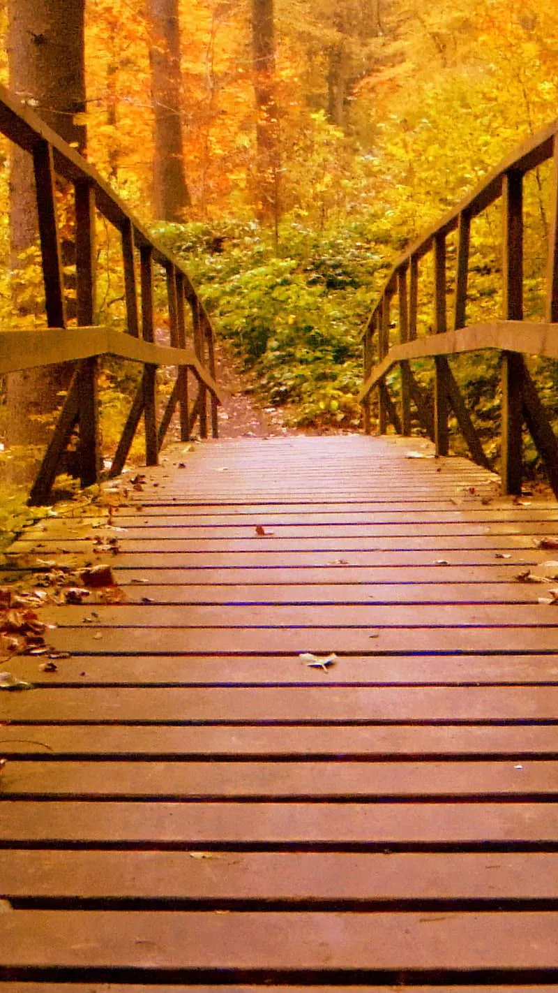 HD autumn wooden bridge wallpaper