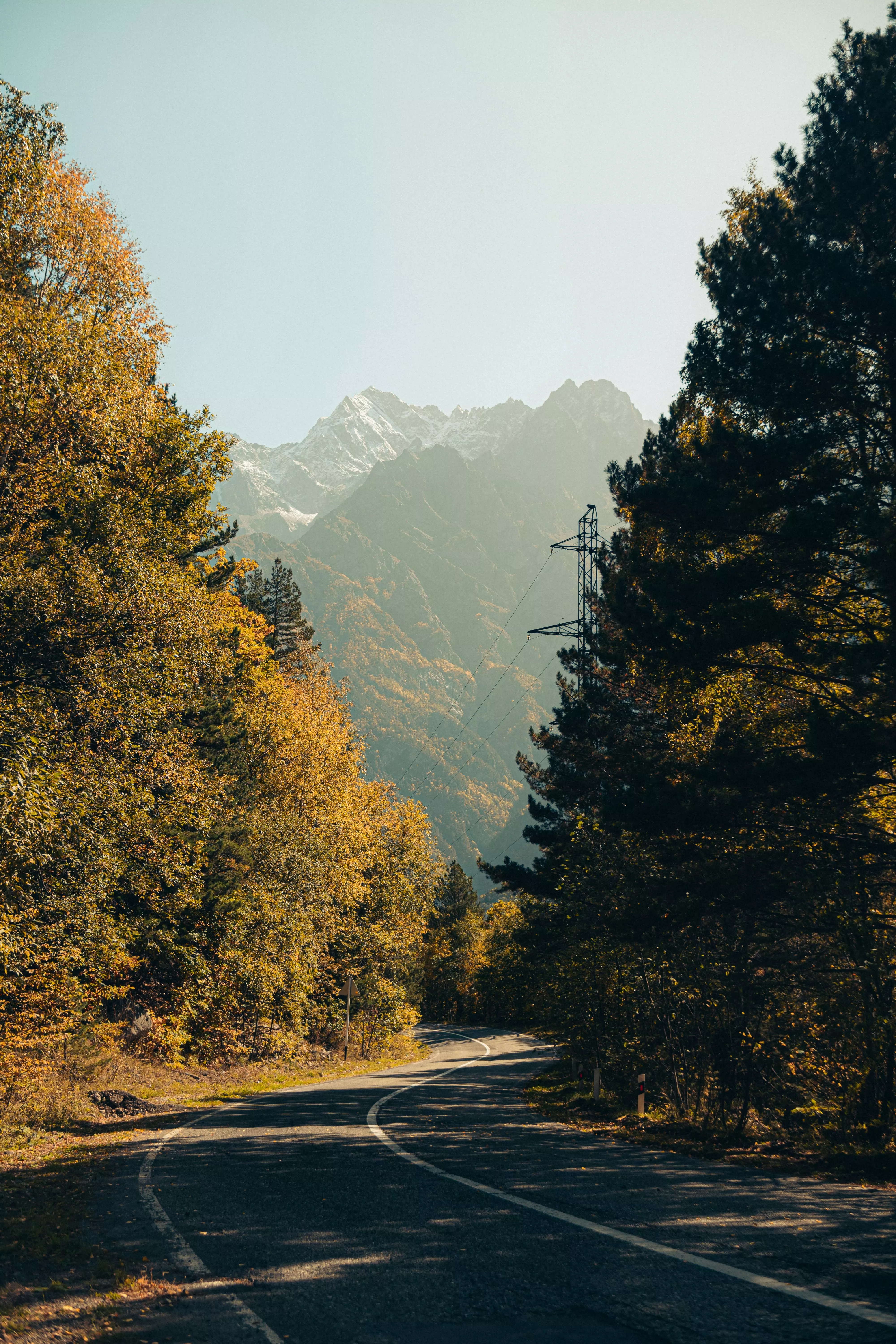 Autumn Landscape · Free