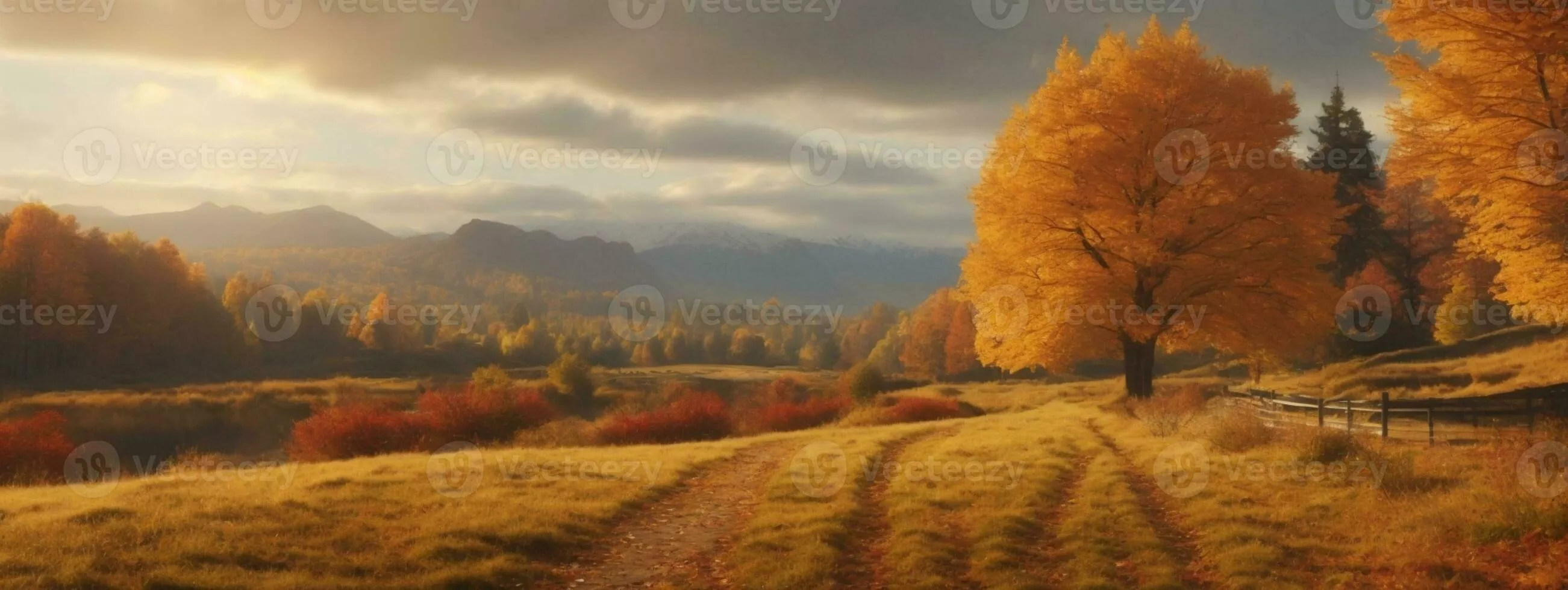 Fall Landscape Image