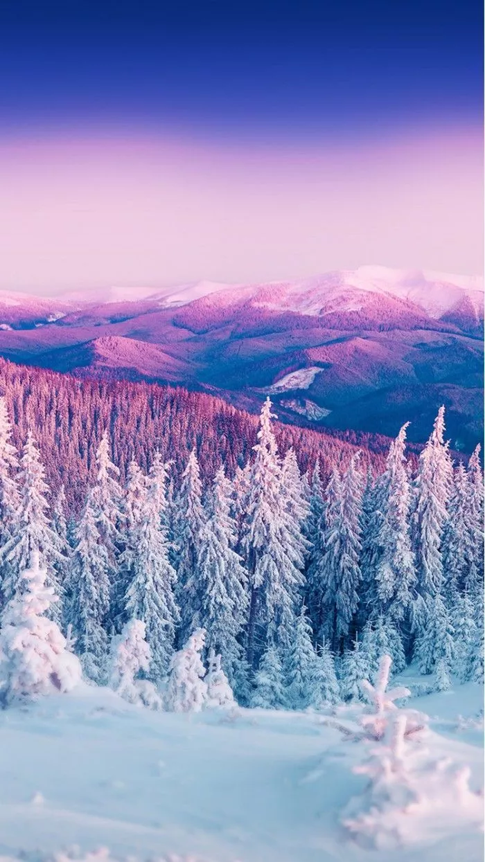 Purple Winter Mountain Landscape IPhone