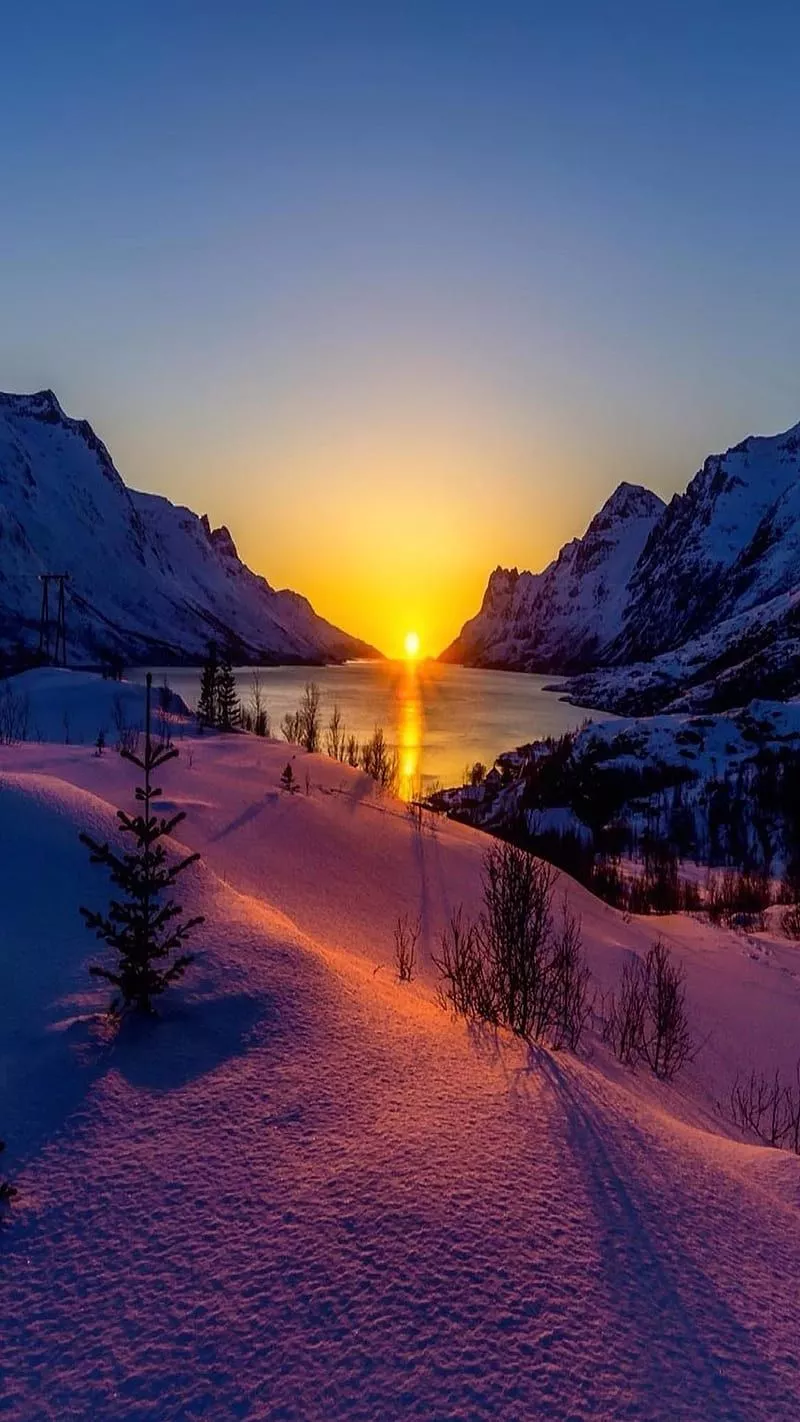 Purple winter sunset, purple, snow, sun