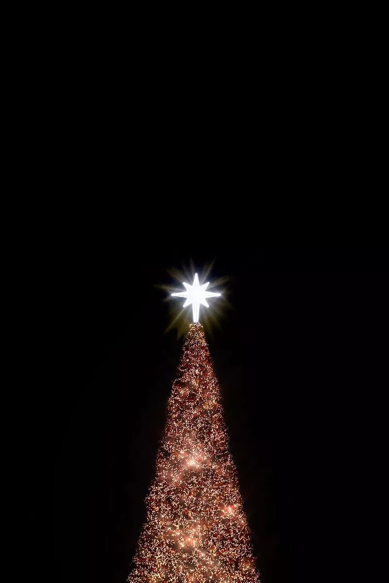 Christmas tree, black background