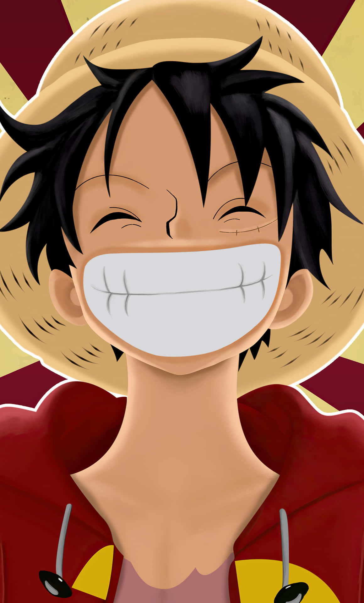 Download Monkey D. Luffy Ready to Set