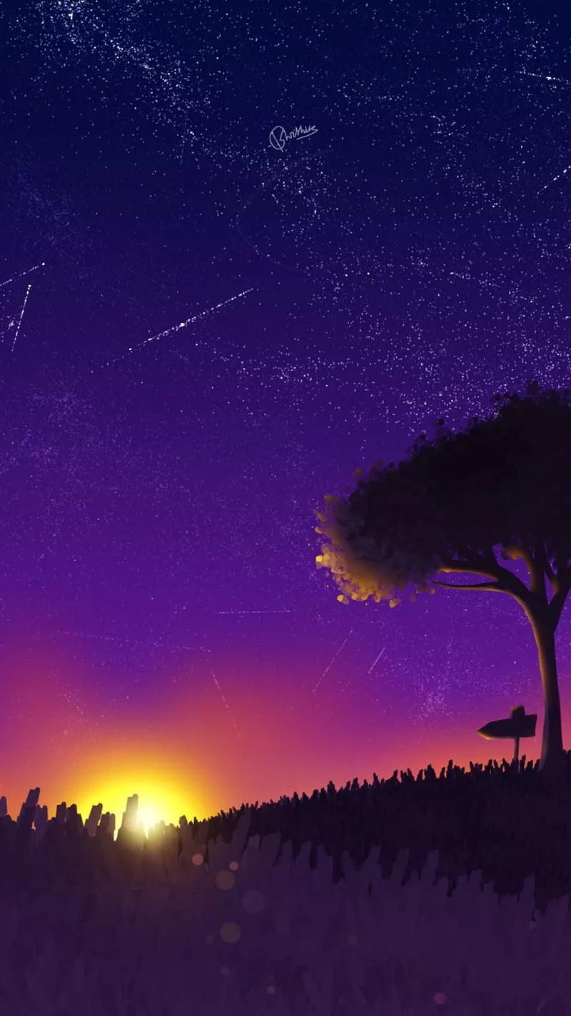 Night Anime Sky, anime, dark, galaxy, landscape, light, night, space, starry, HD phone wallpaper