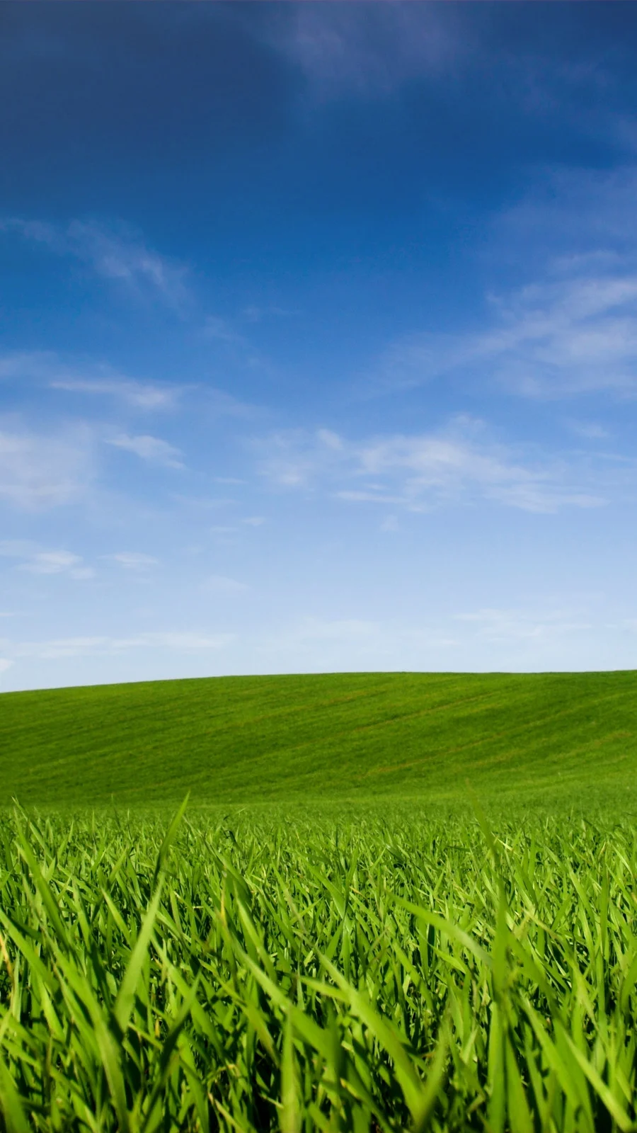 Free spring aesthetic phone wallpaper