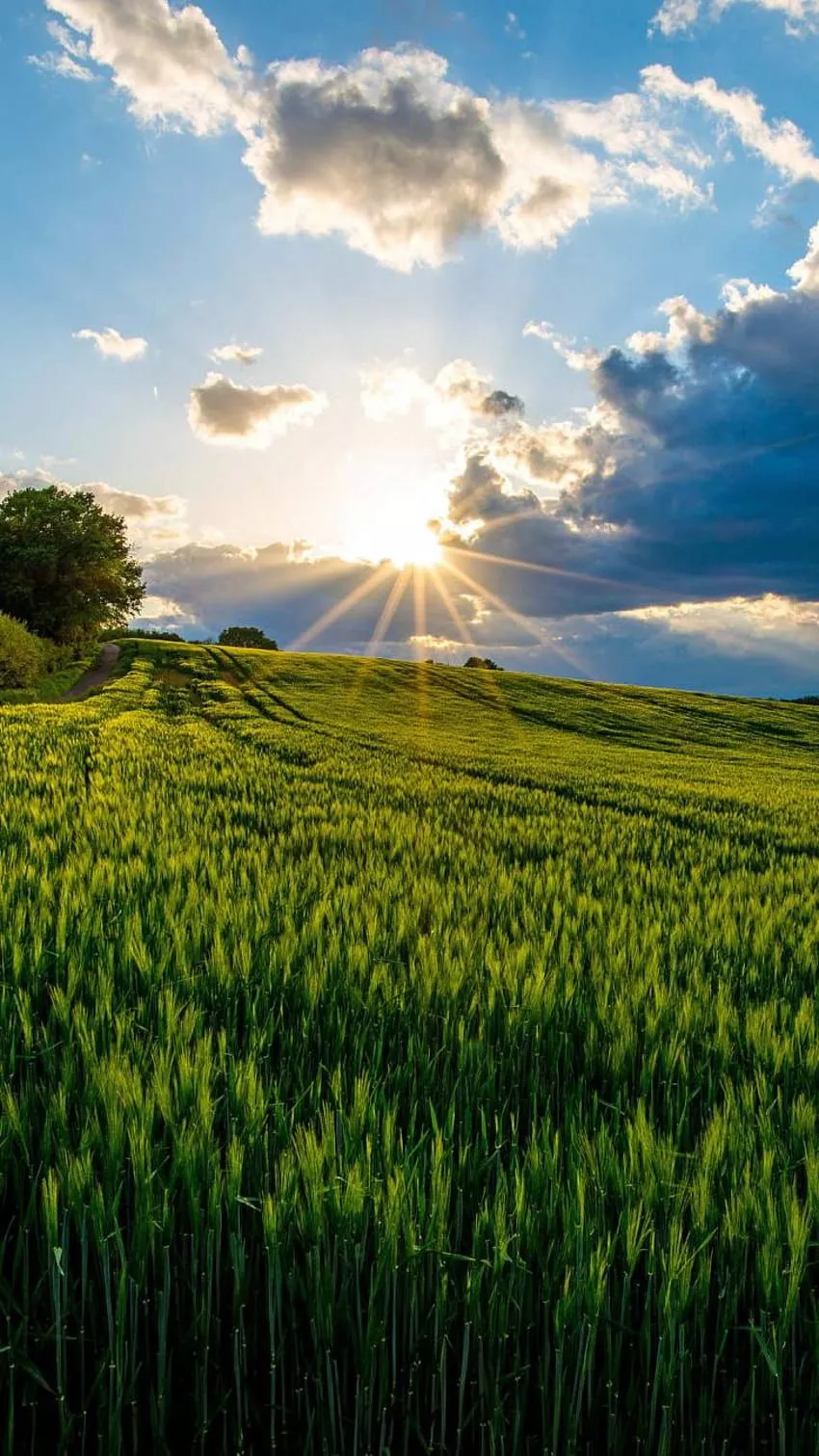 26, Best, Natural, Spring, For, iPhone