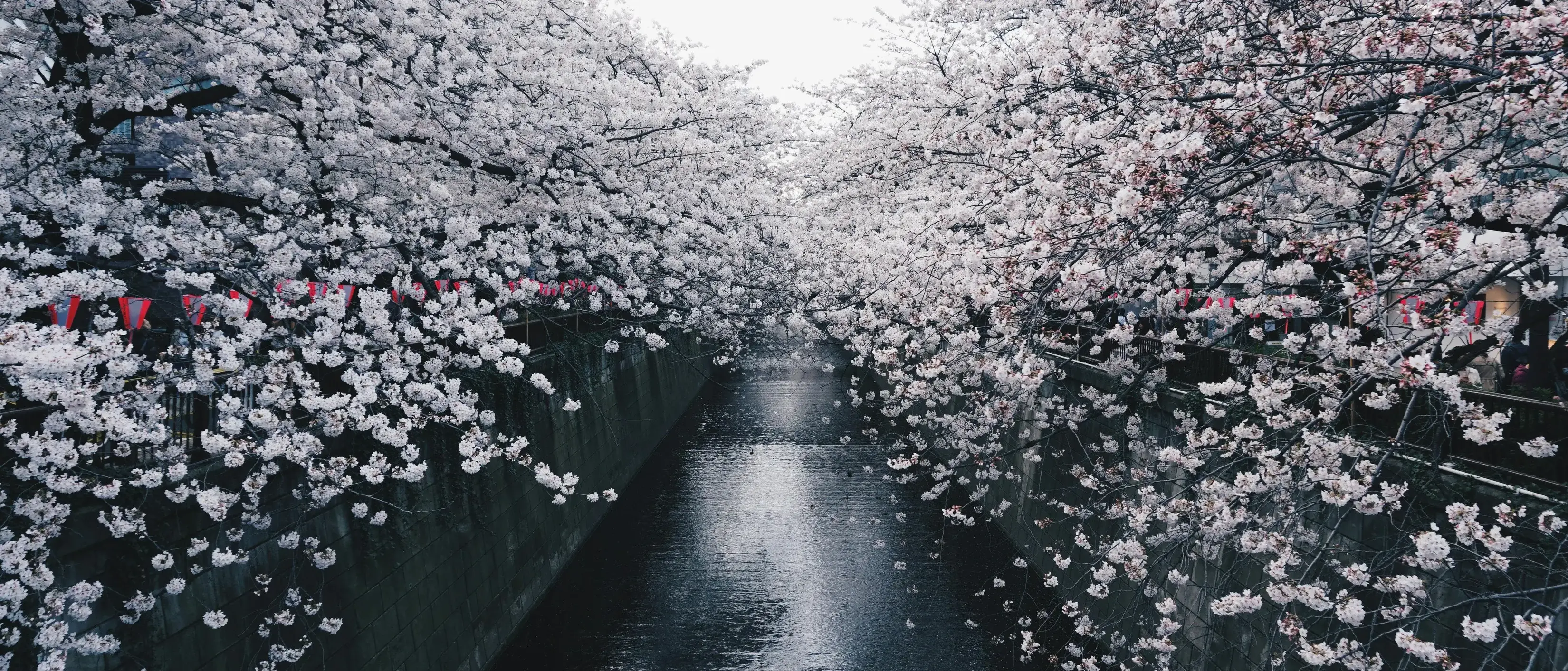 Most Popular Japanese White Wallpaper