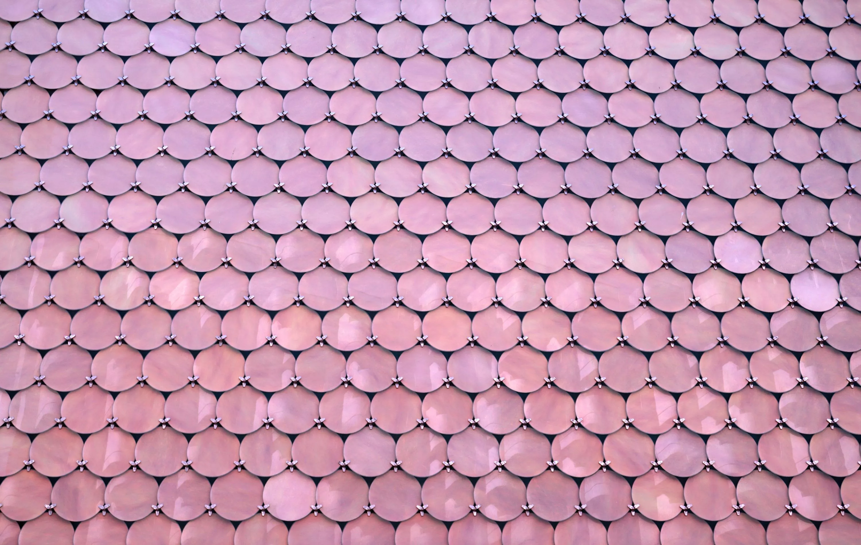 Circle Texture Picture. Download Free