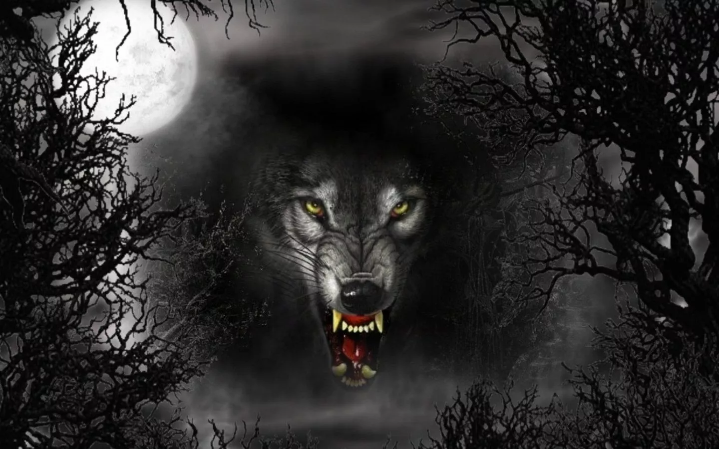 Black Fierce Wolf Wallpaper