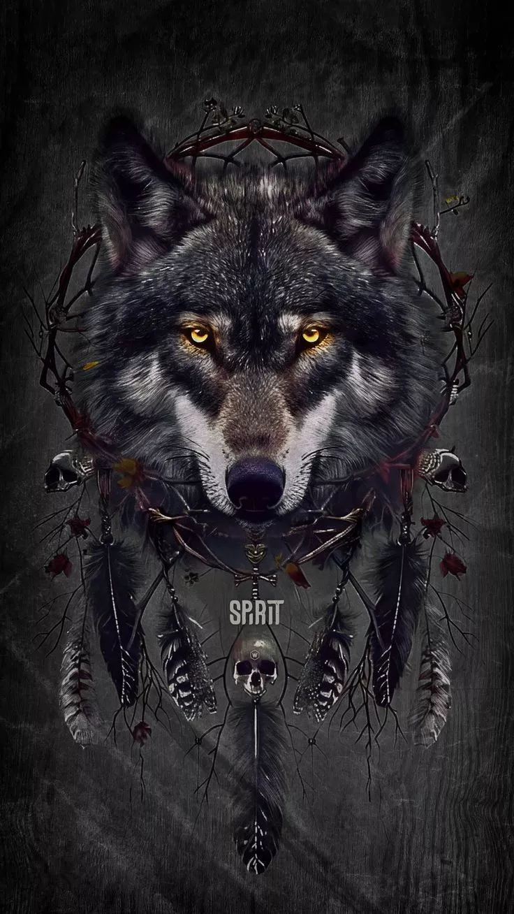 Wallpaper wolf, head, dream catcher