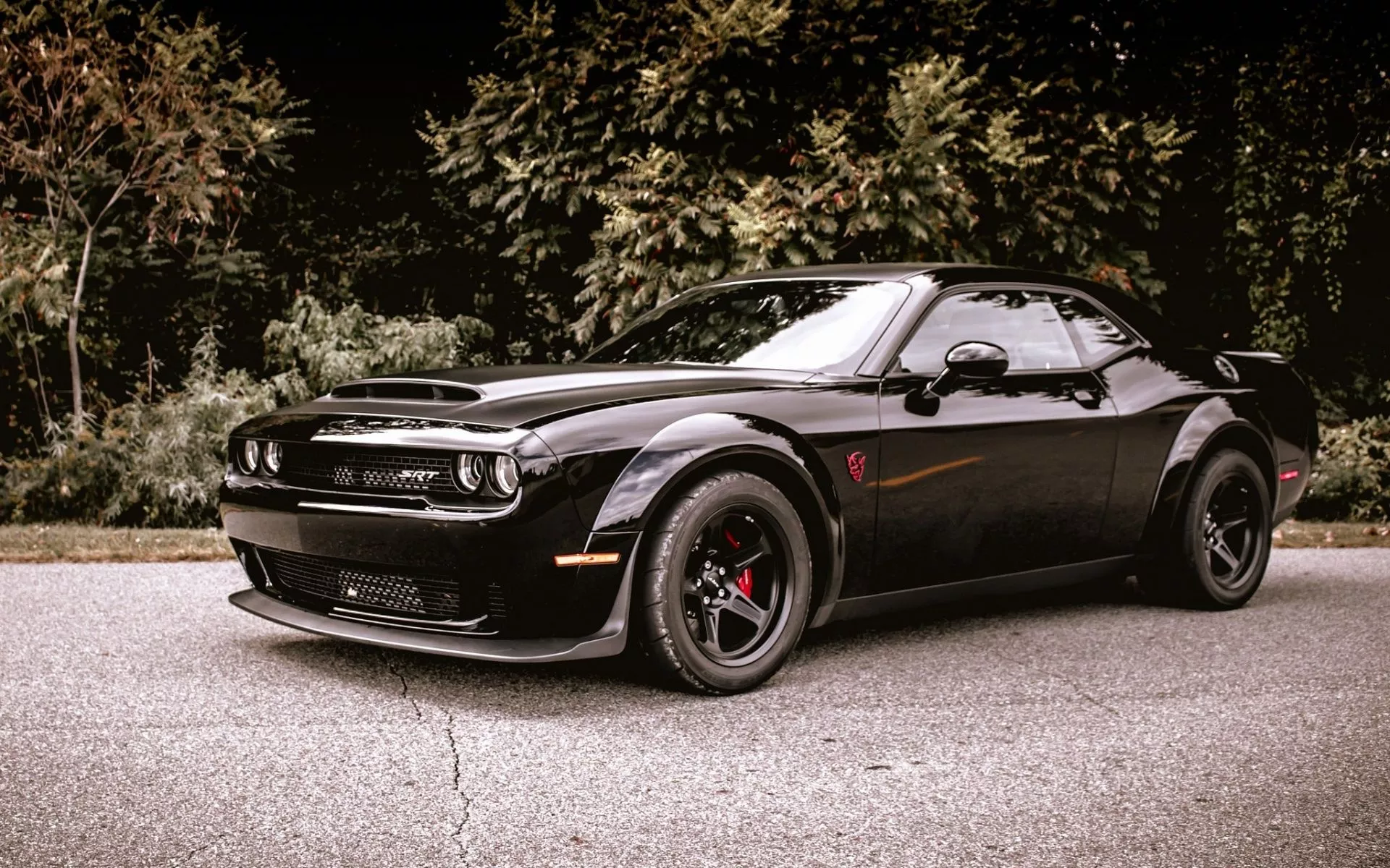 Dodge Challenger Wallpaper