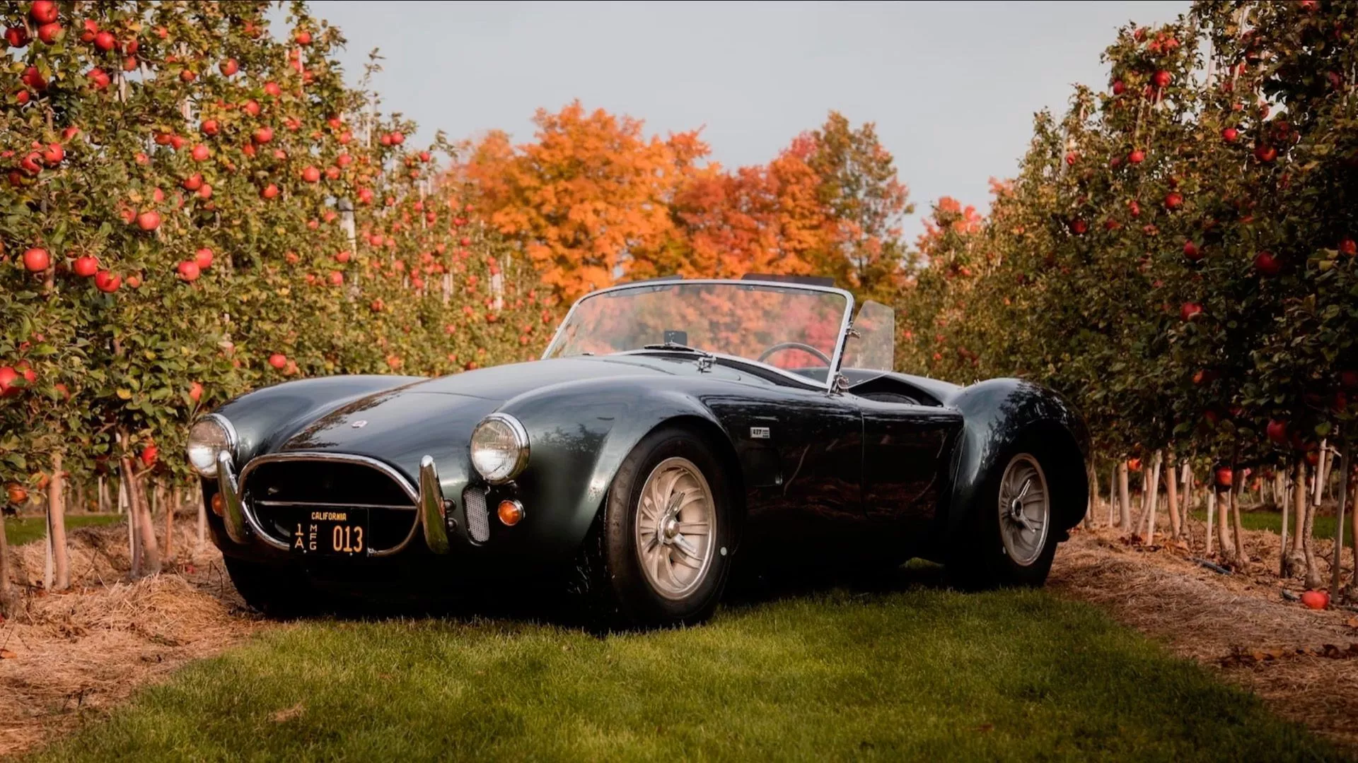Carroll Shelby's 1965 Shelby 427 Cobra