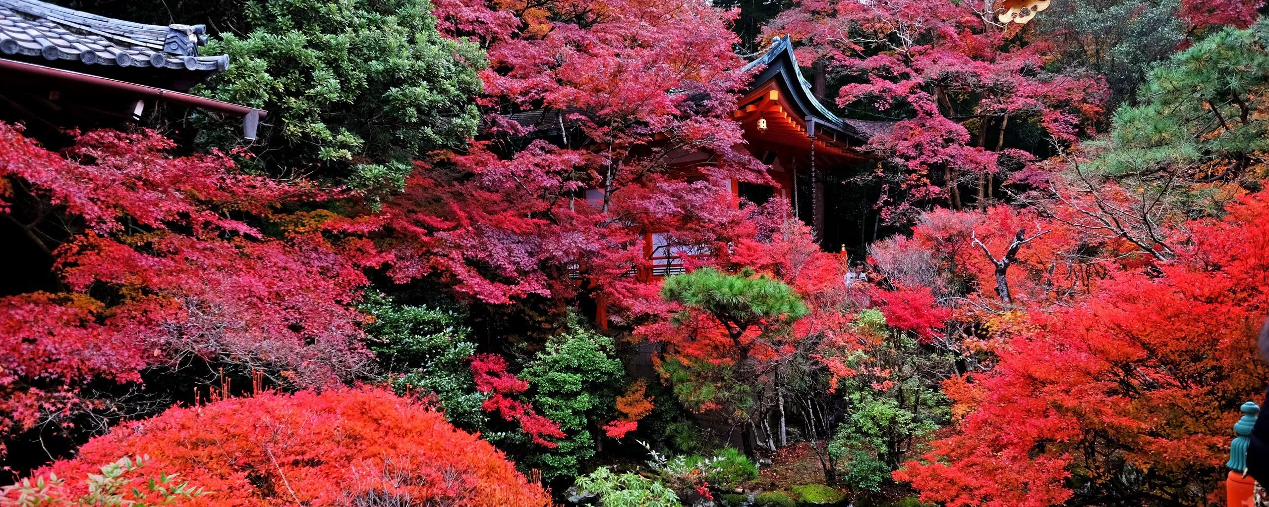 Download wallpaper 2560x1024 temple