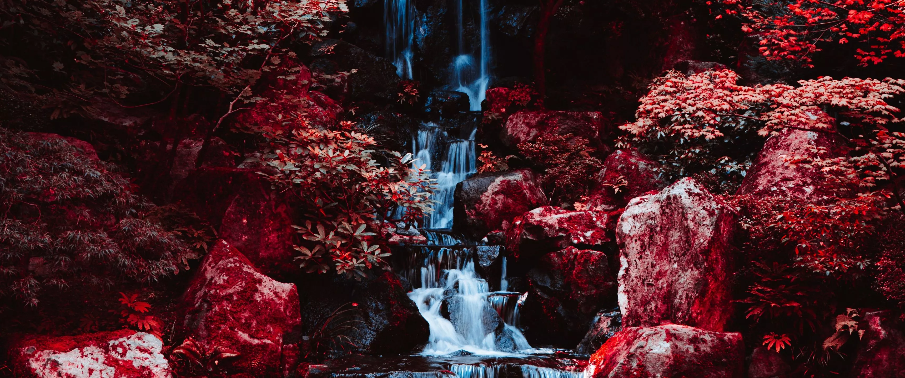 Portland Japanese Gardens Wallpaper 4K