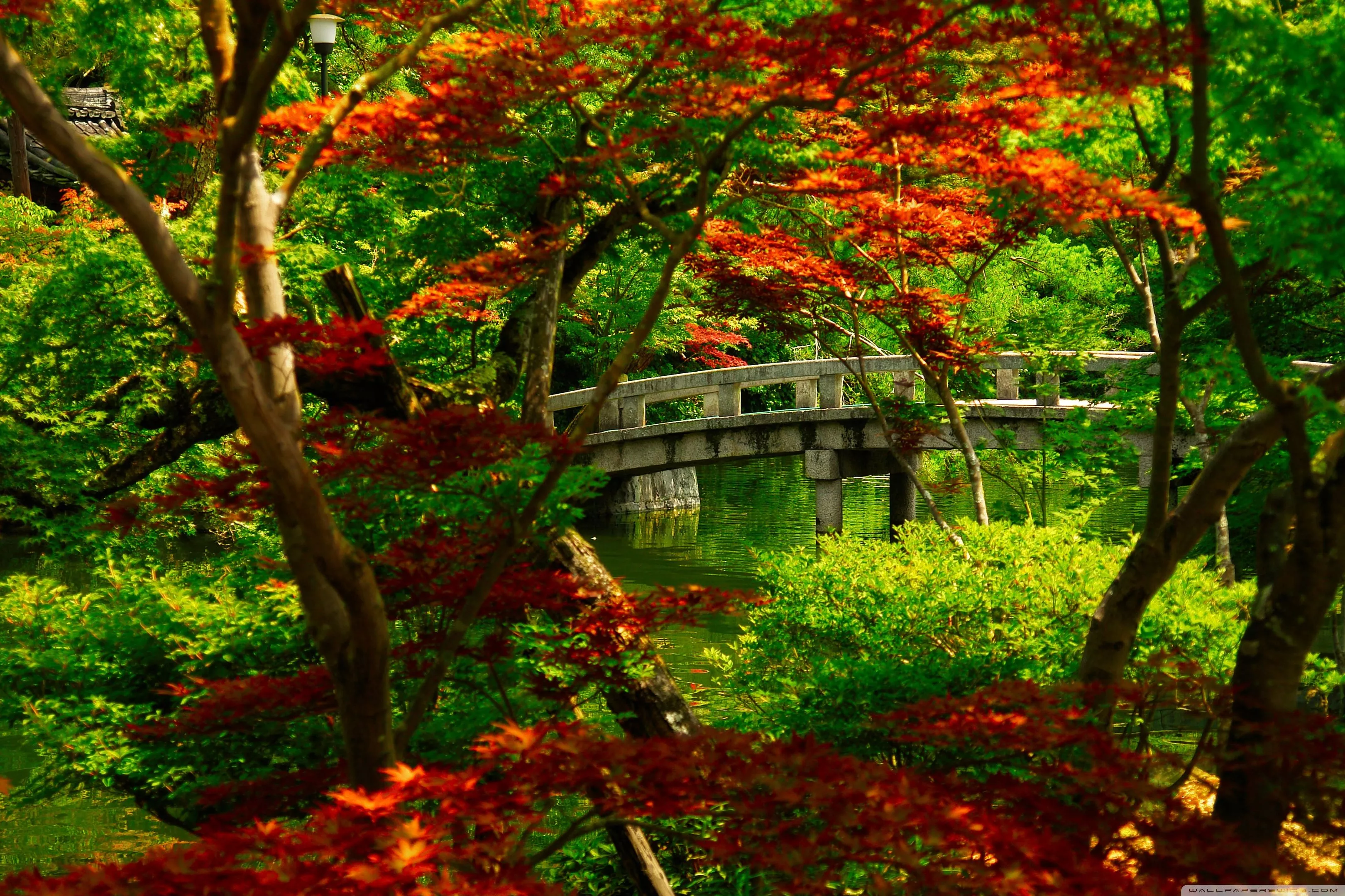 Japanese Garden (Kyoto) Ultra HD