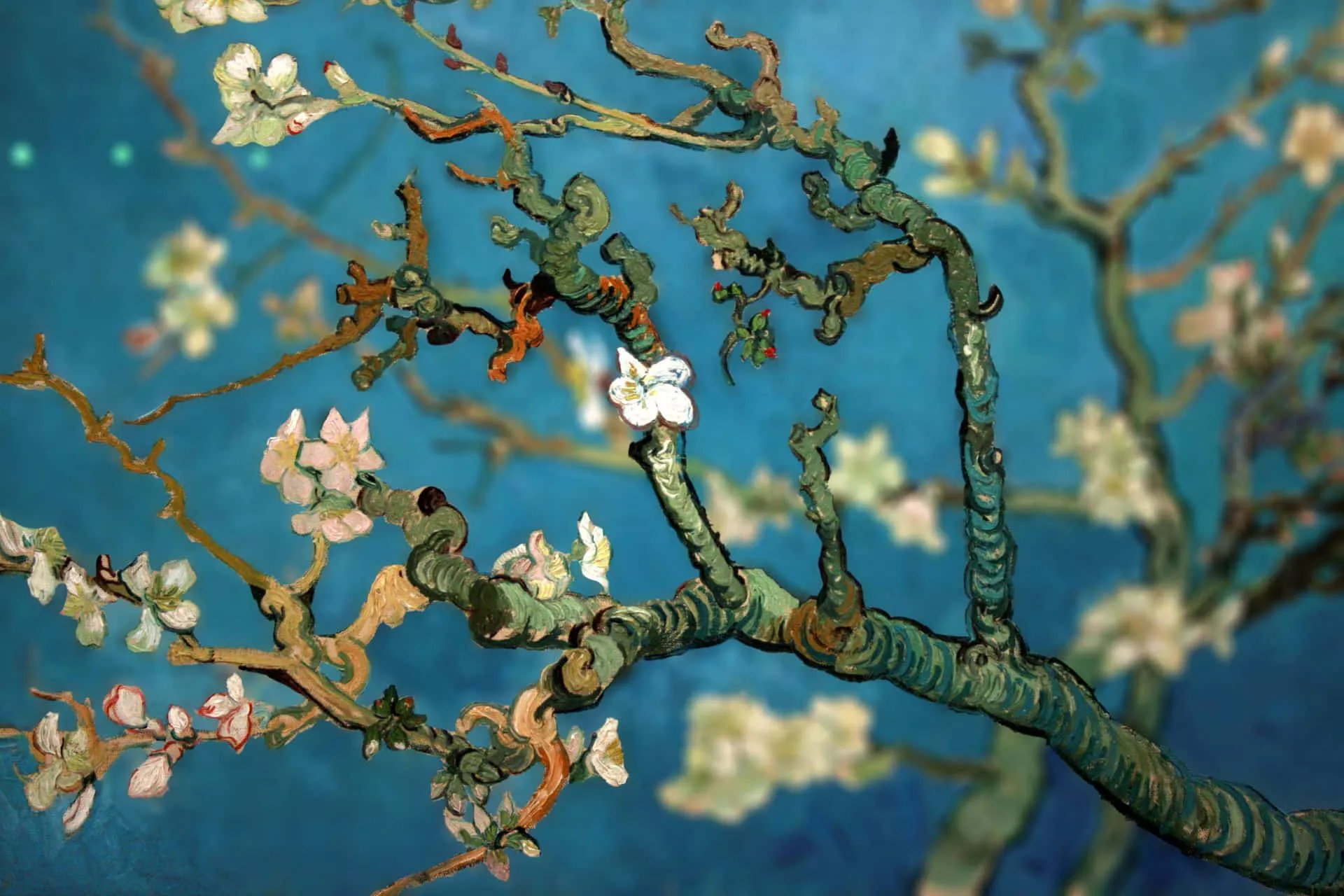 Vincent Van Gogh Wallpaper