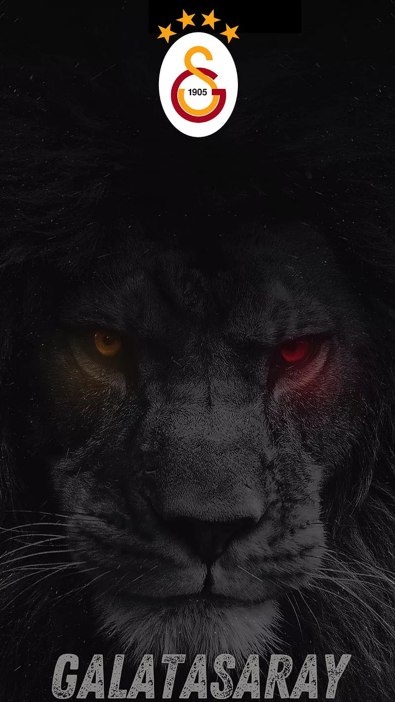 Galatasaray, sport, walpapper, HD phone