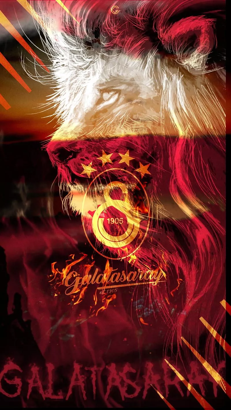 Galatasaray 1, aslan, galatasaray, gs