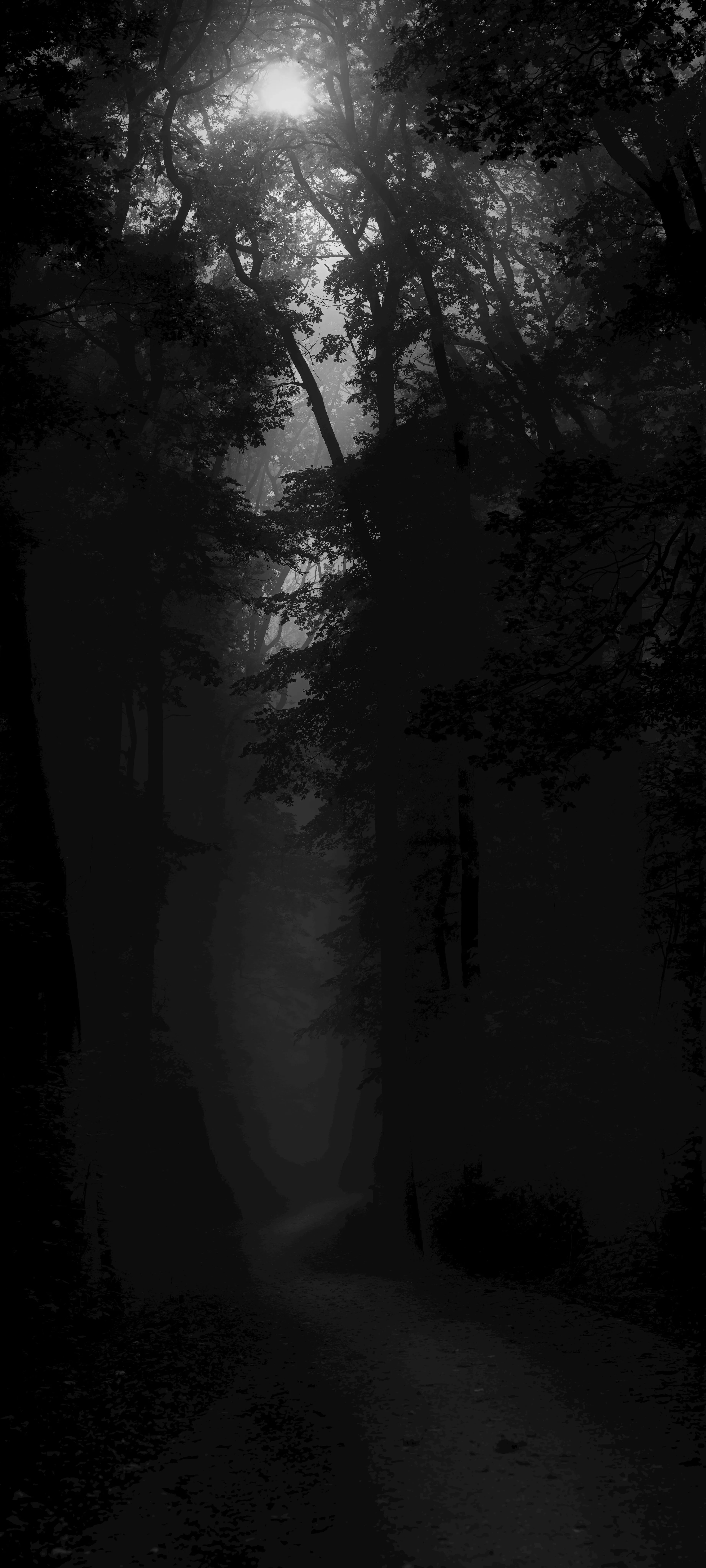 Dark Wallpaper Photo, Download