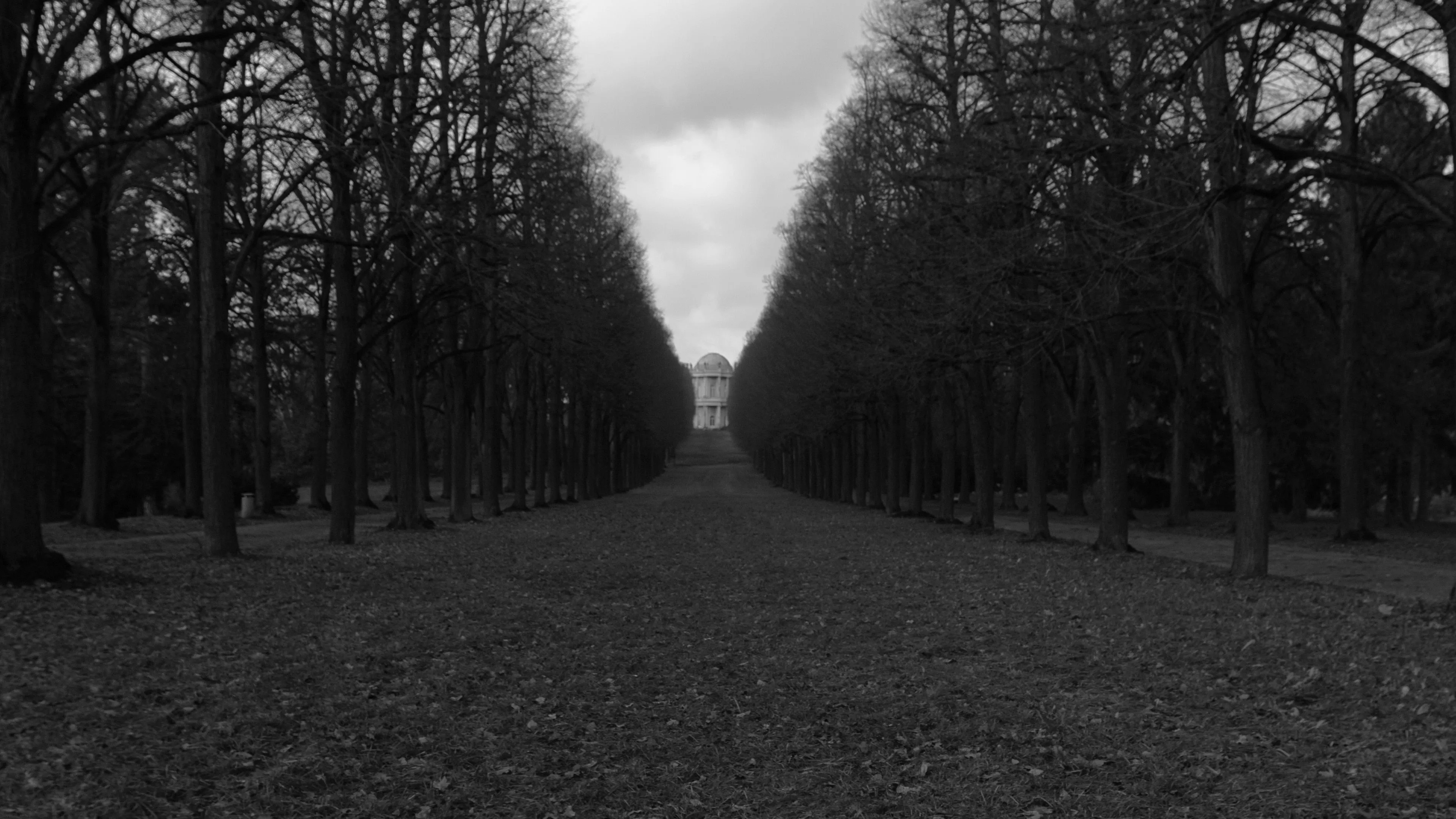 desktop, laptop. dark bw road germany
