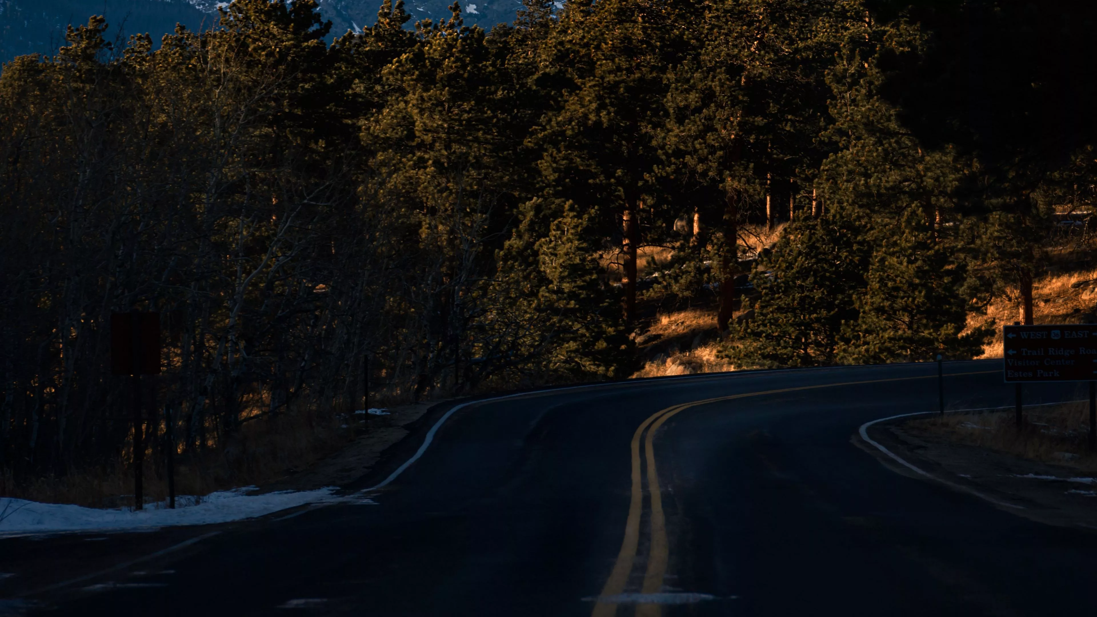 Road Turn Between Green Trees Grass