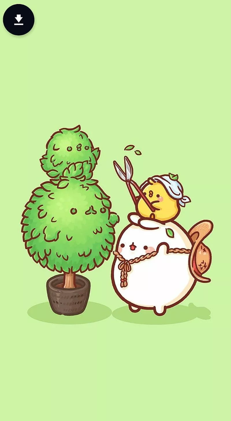 Molang, garden, HD phone wallpaper