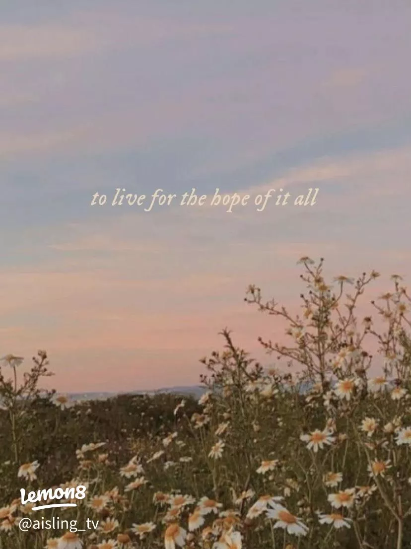 taylor swift wallpaper