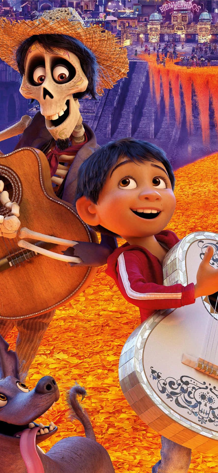 Download A brightly colored background